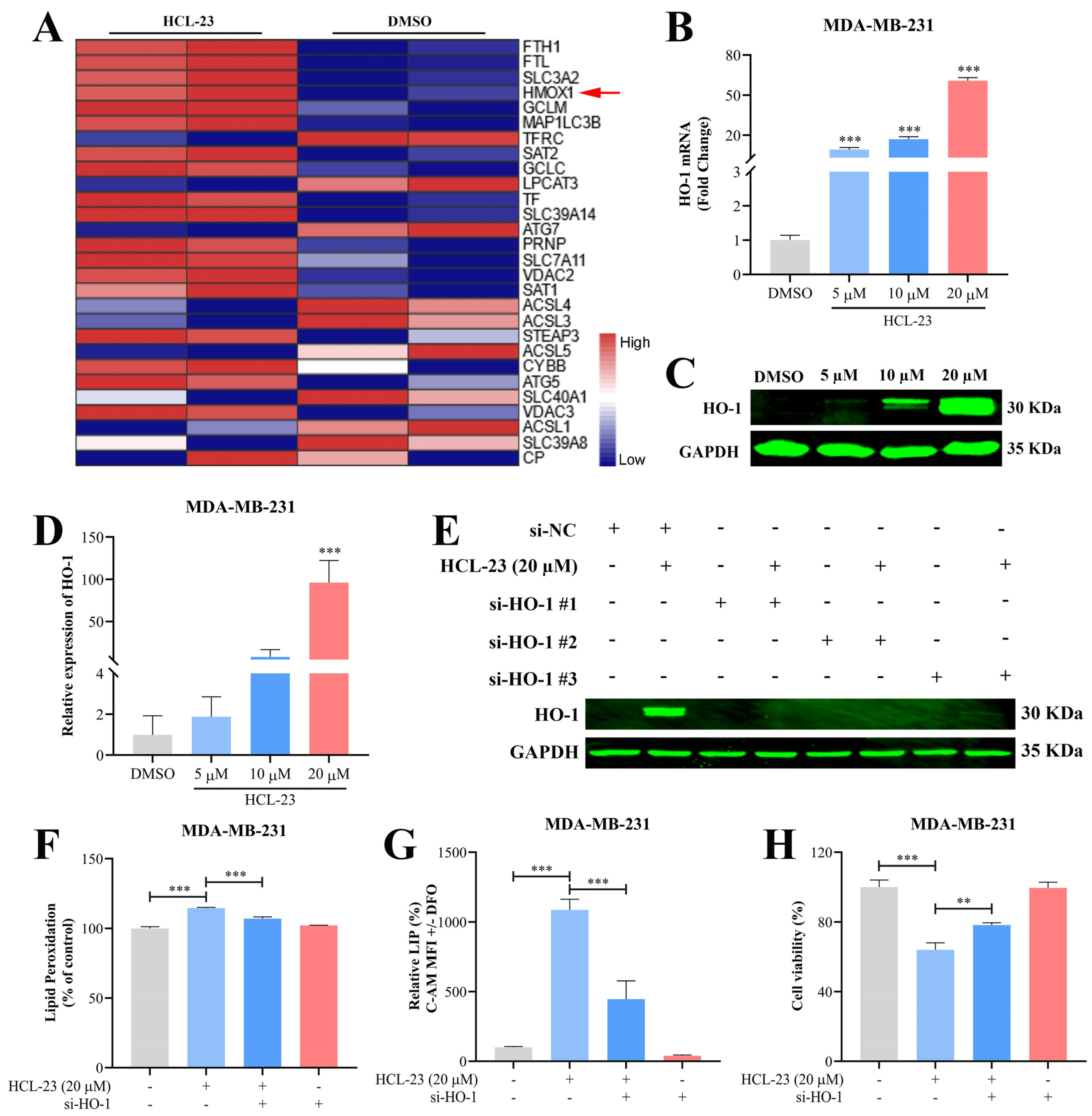 Molecules 28 03389 g007