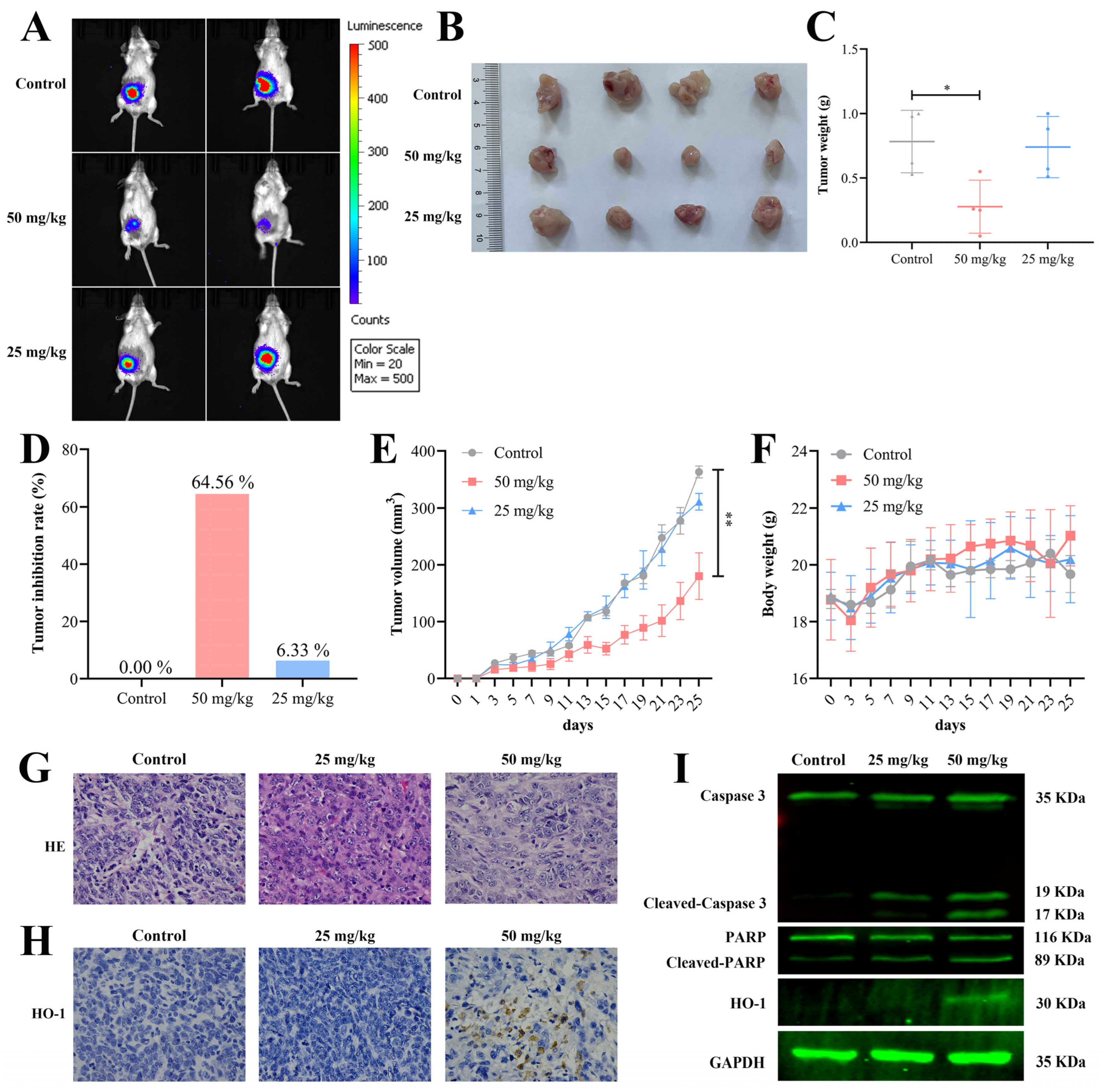 Molecules 28 03389 g008