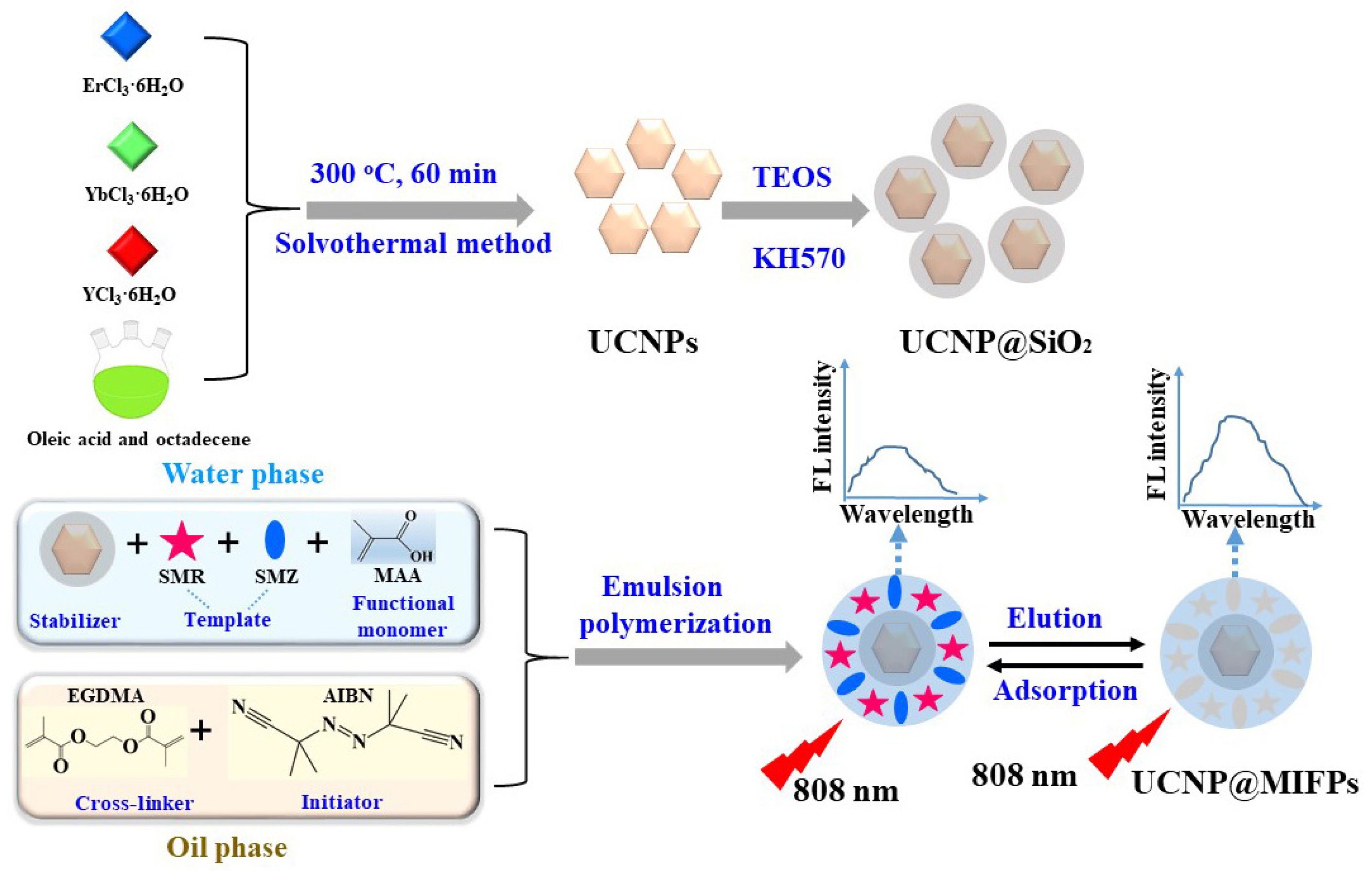 Molecules 28 03391 sch001 Molecules 28 03391 sch001
