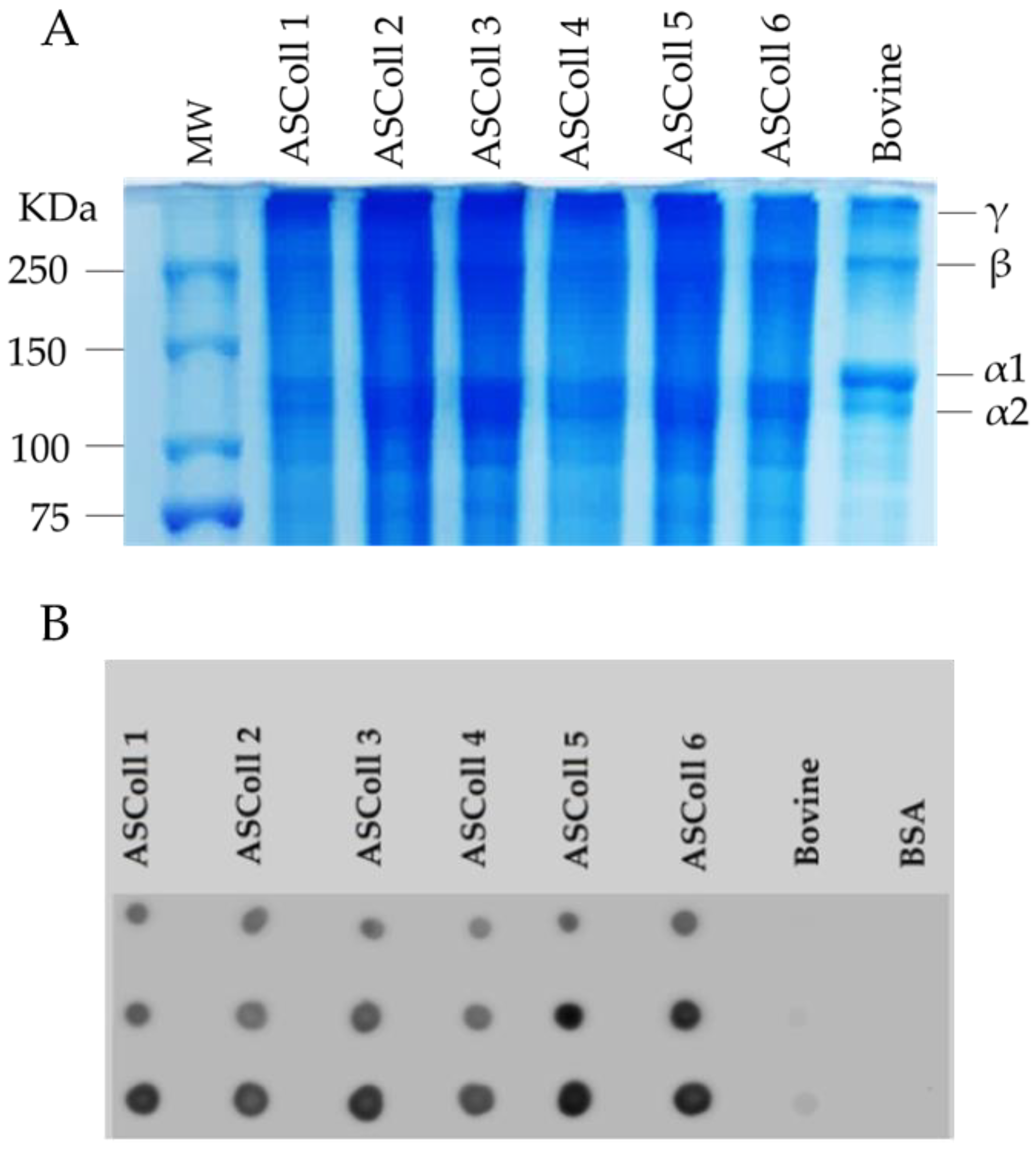 Molecules 28 03394 g001