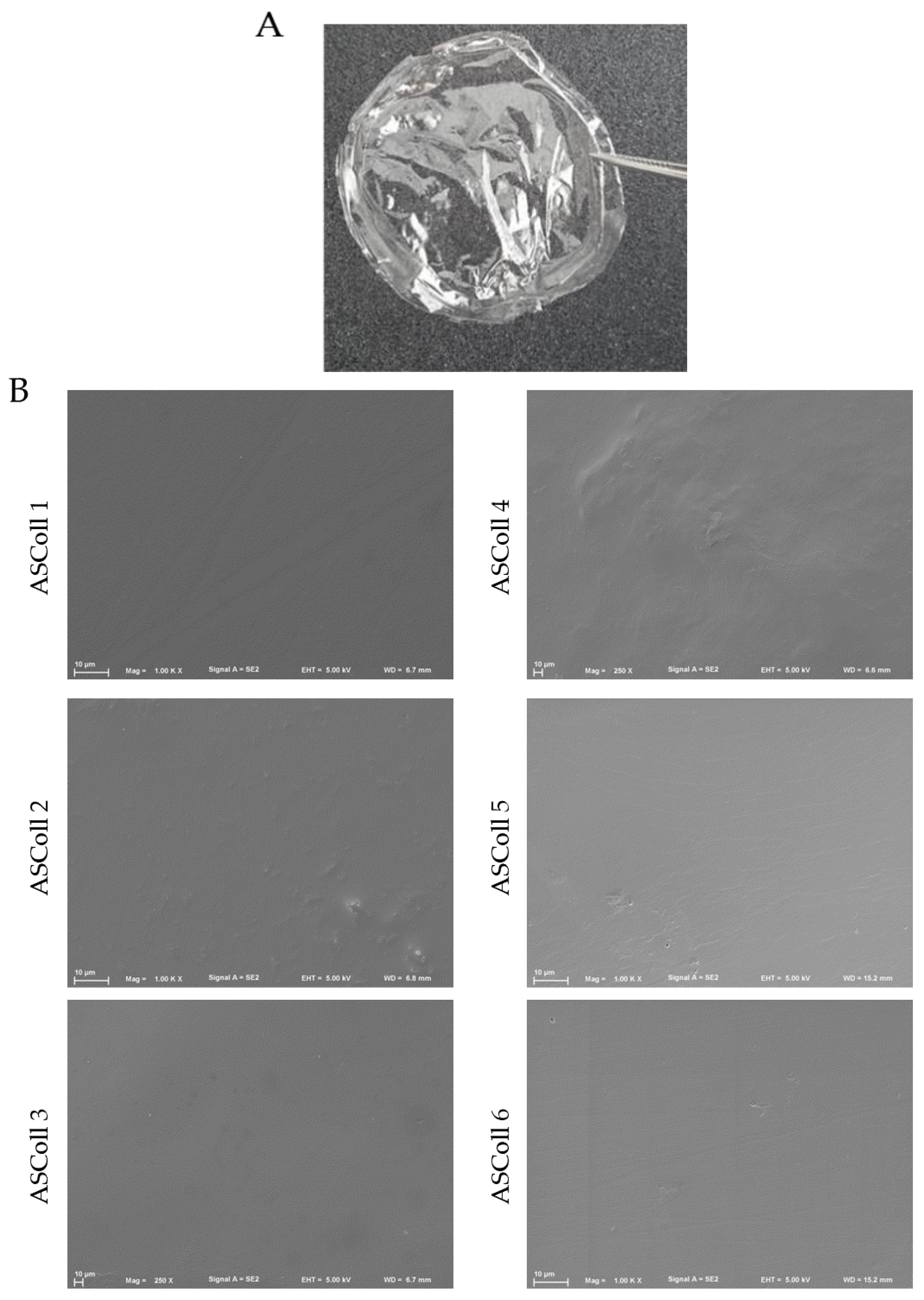 Molecules 28 03394 g006