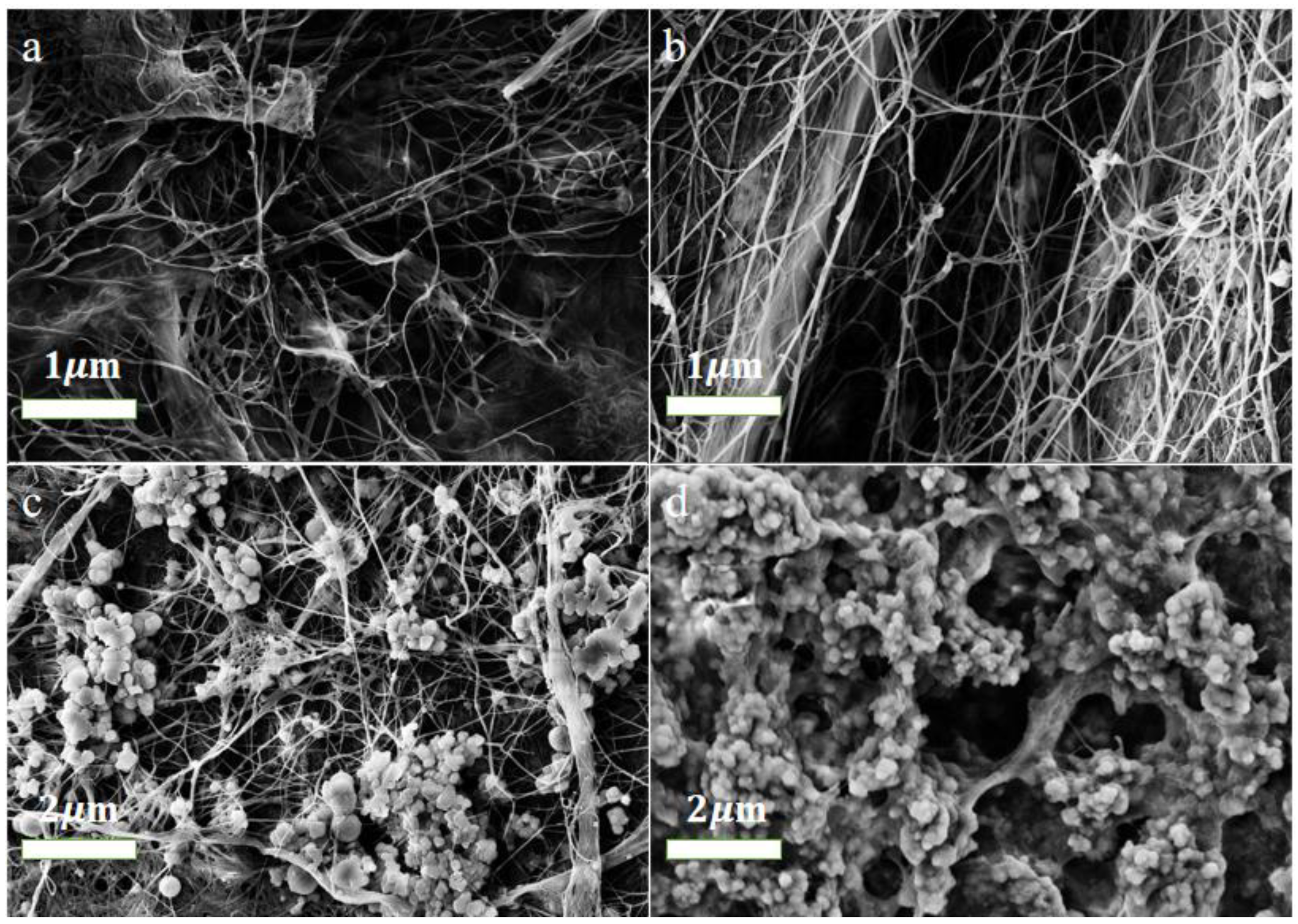 Molecules 28 03396 g001 Molecules 28 03396 g001