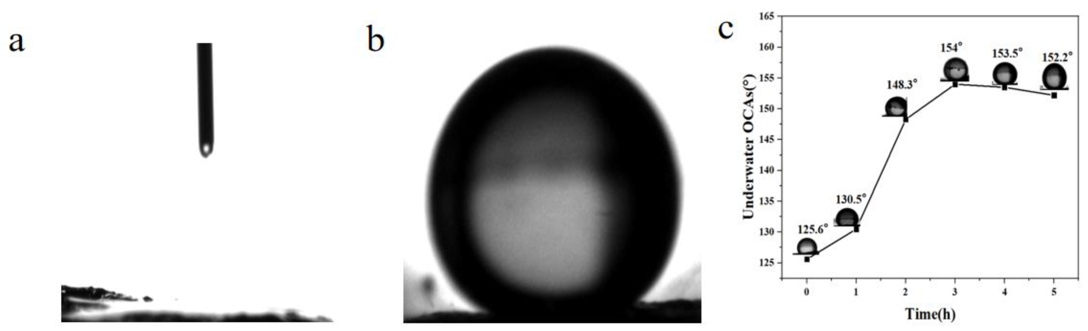 Molecules 28 03396 g006 Molecules 28 03396 g006