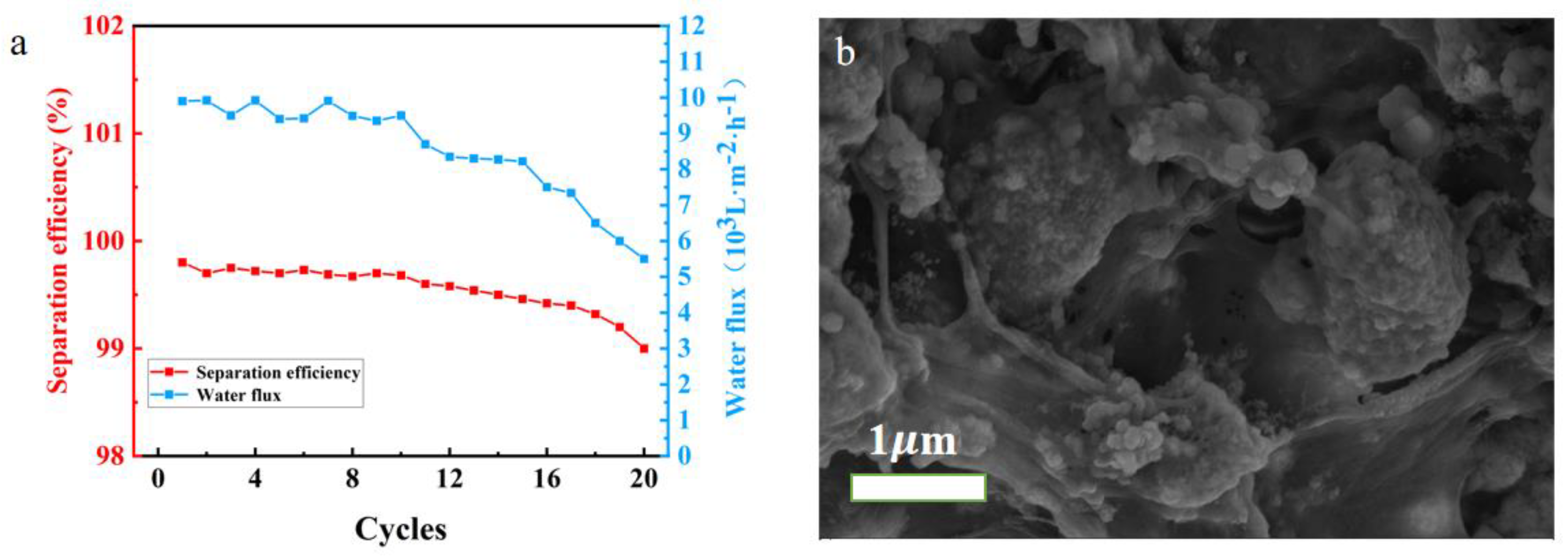 Molecules 28 03396 g008 Molecules 28 03396 g008