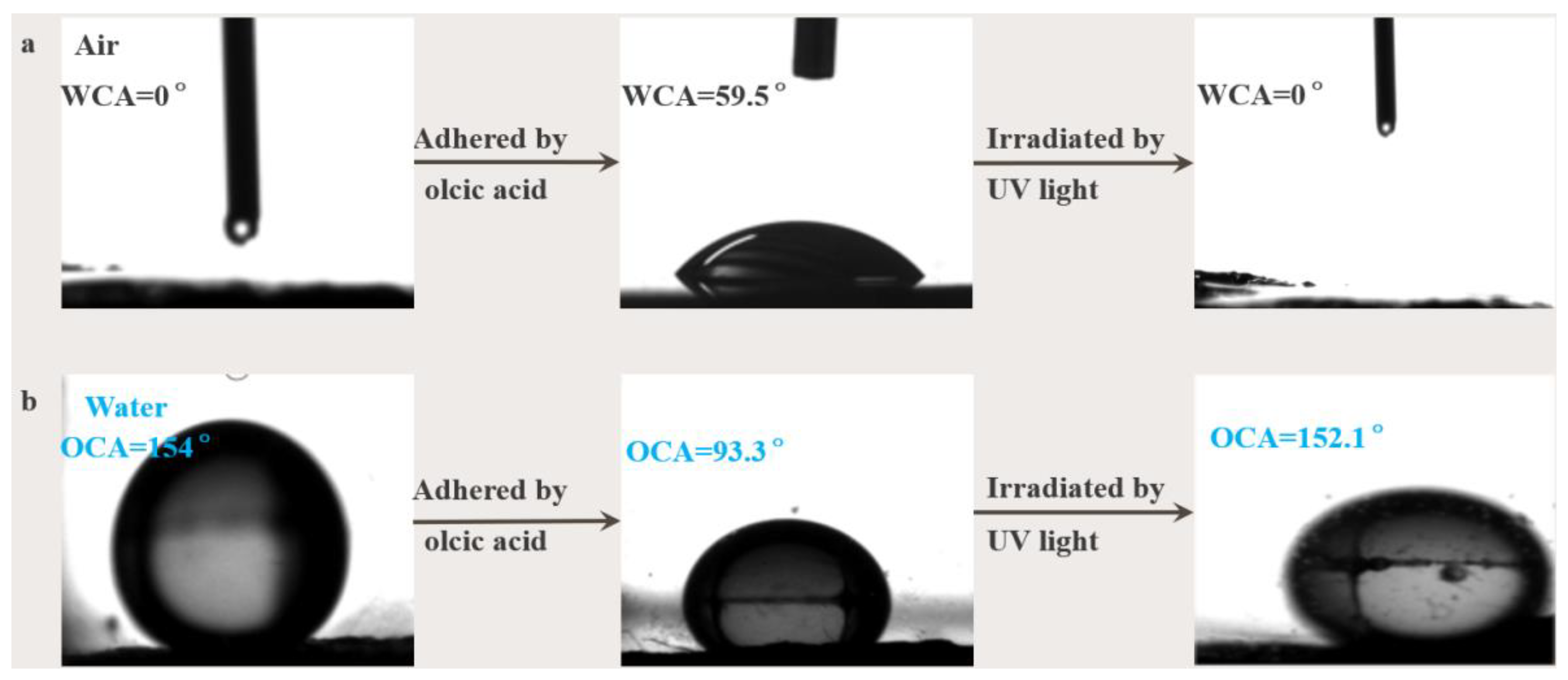 Molecules 28 03396 g009 Molecules 28 03396 g009