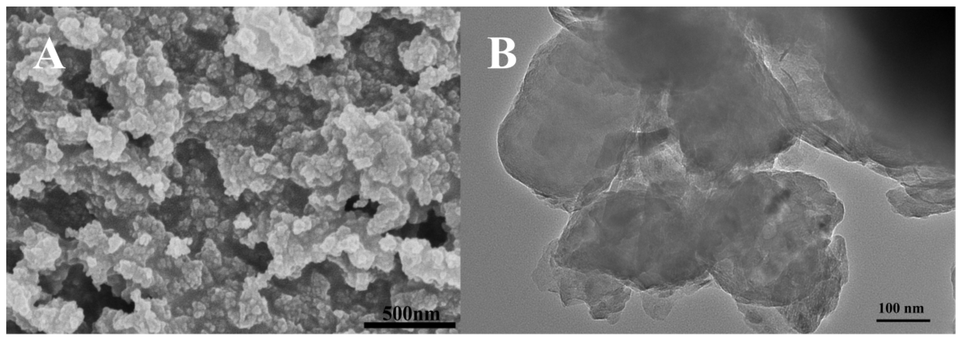 Molecules 28 03398 g004 Molecules 28 03398 g004