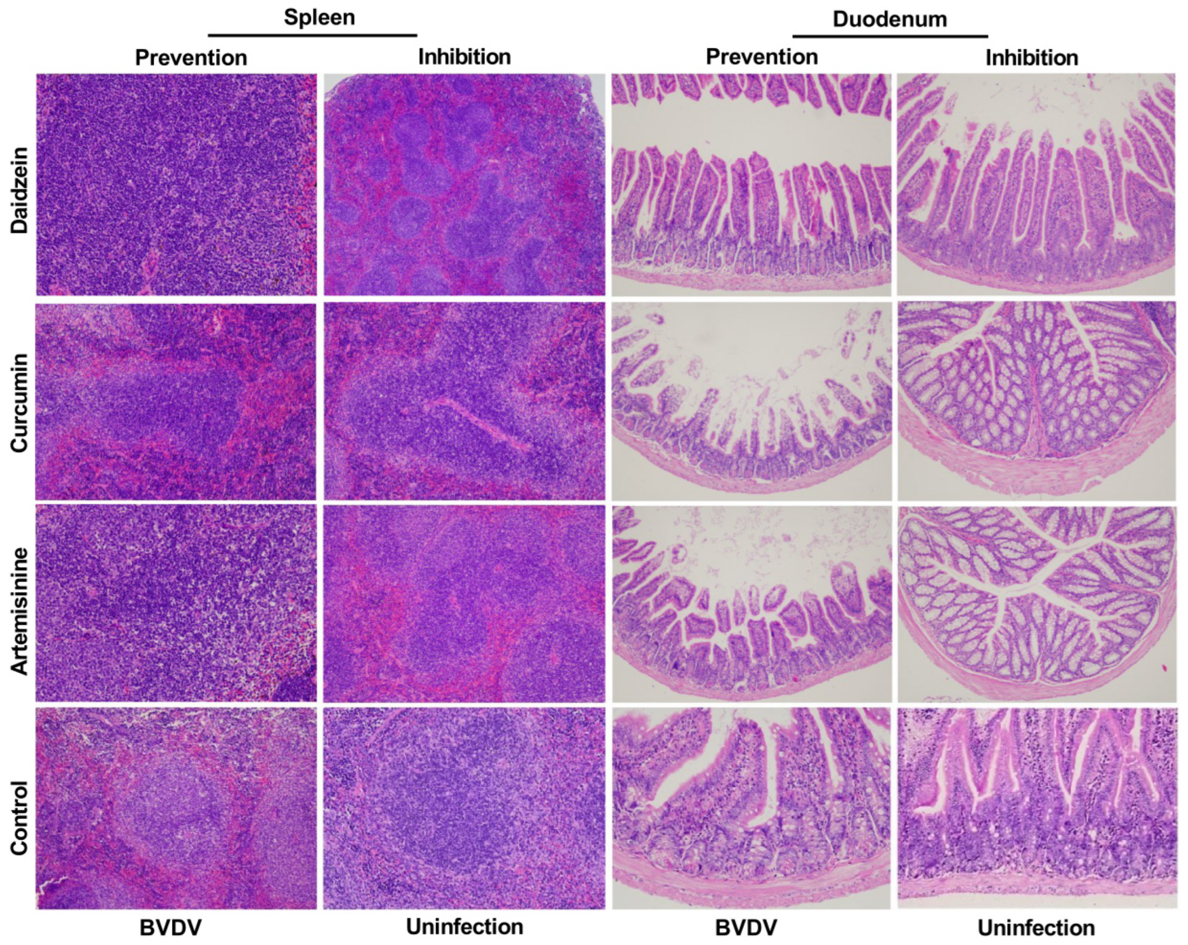 Molecules 28 03413 g009 Molecules 28 03413 g009