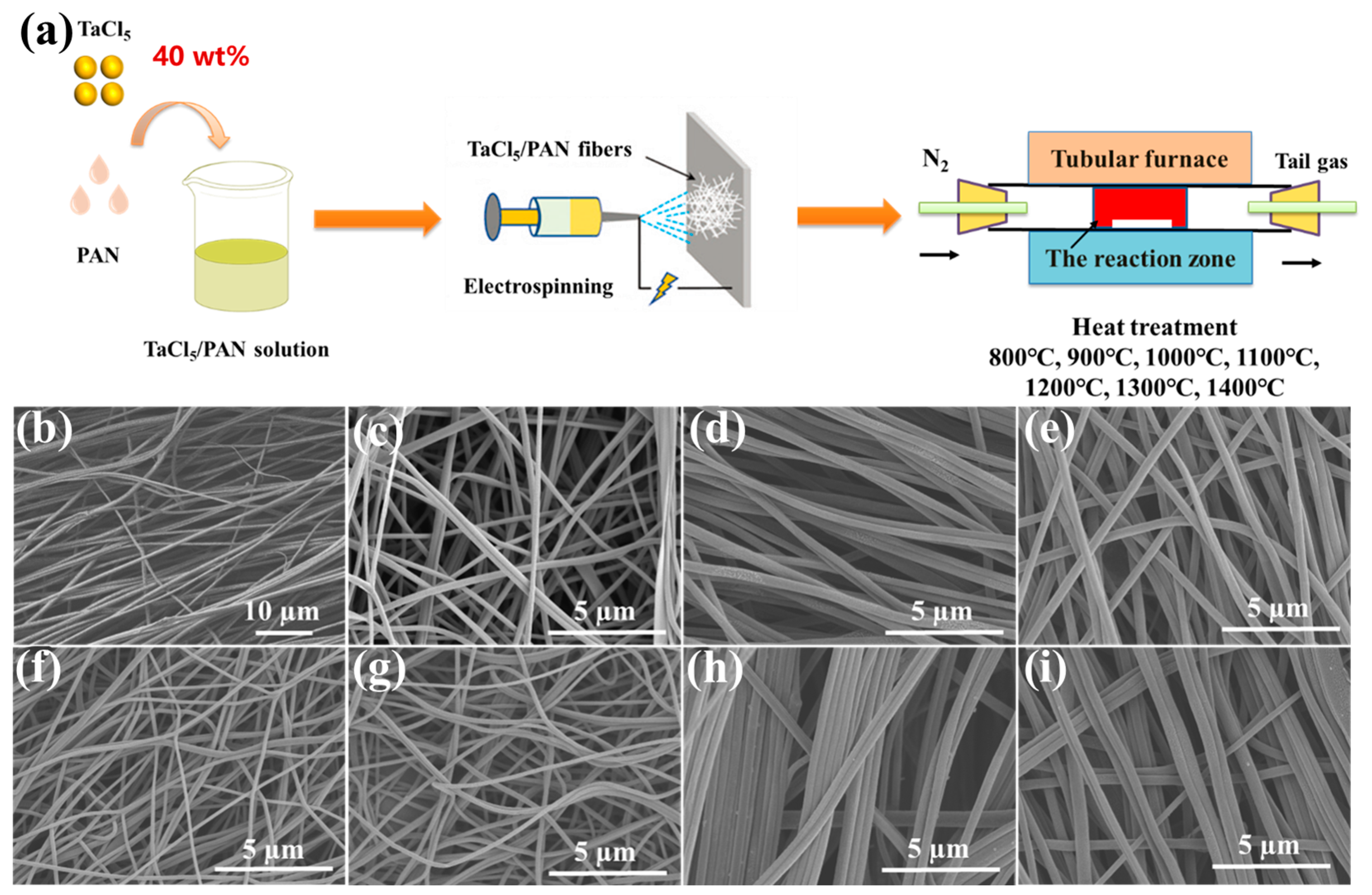 Molecules 28 03430 g001