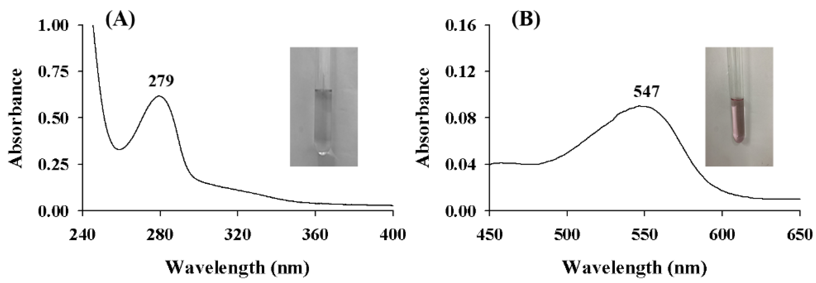 Molecules 28 03435 g002 Molecules 28 03435 g002