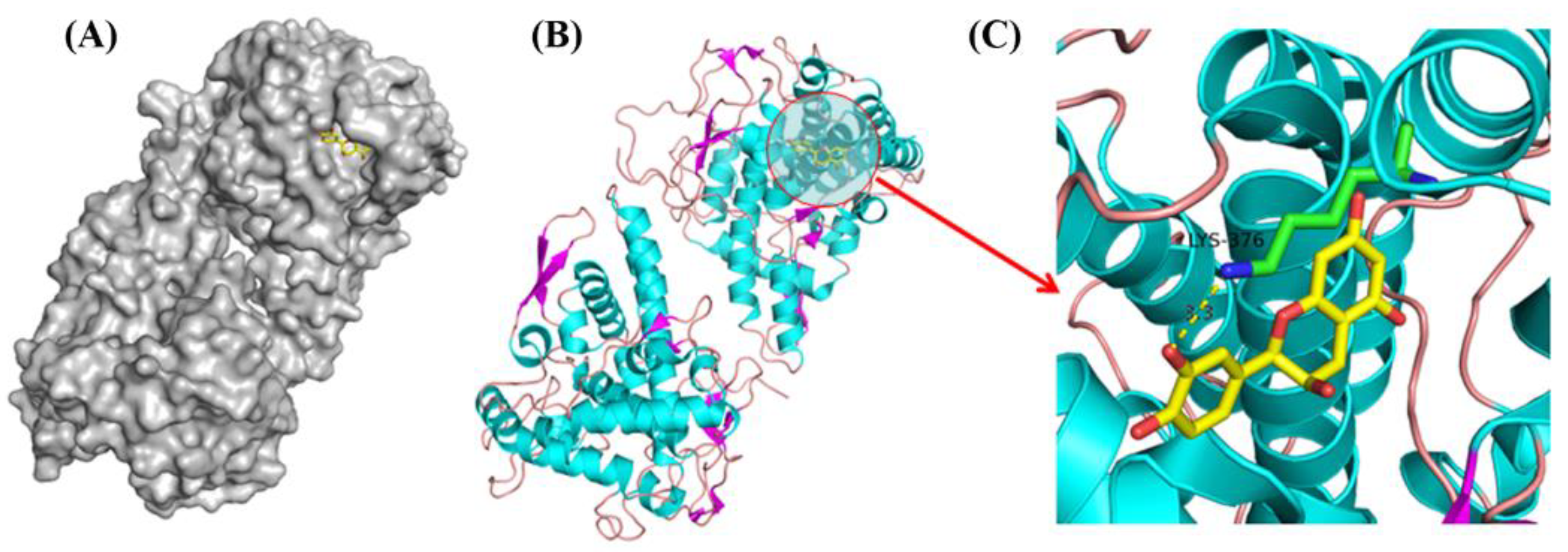 Molecules 28 03435 g009 Molecules 28 03435 g009