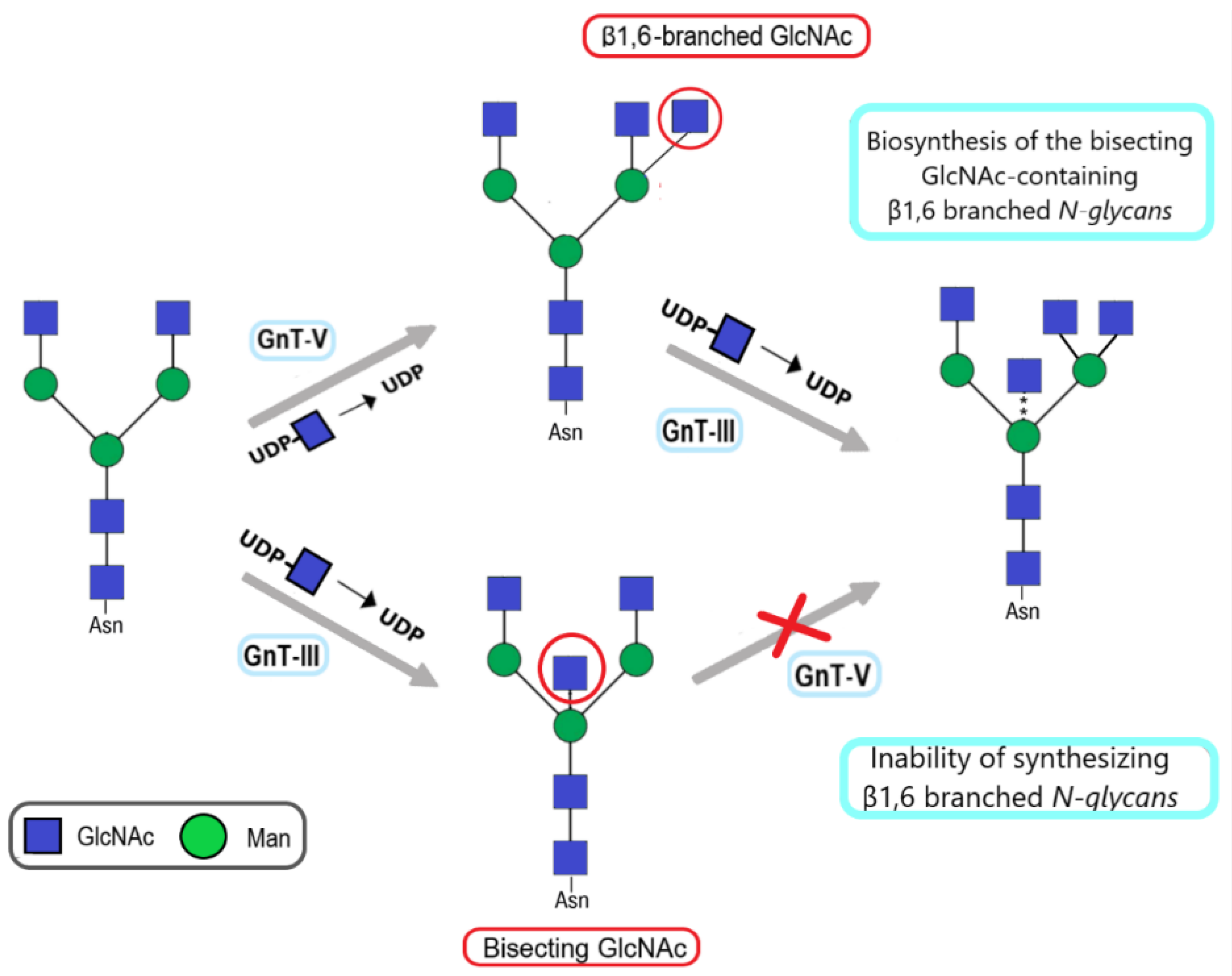 Molecules 28 03436 g003