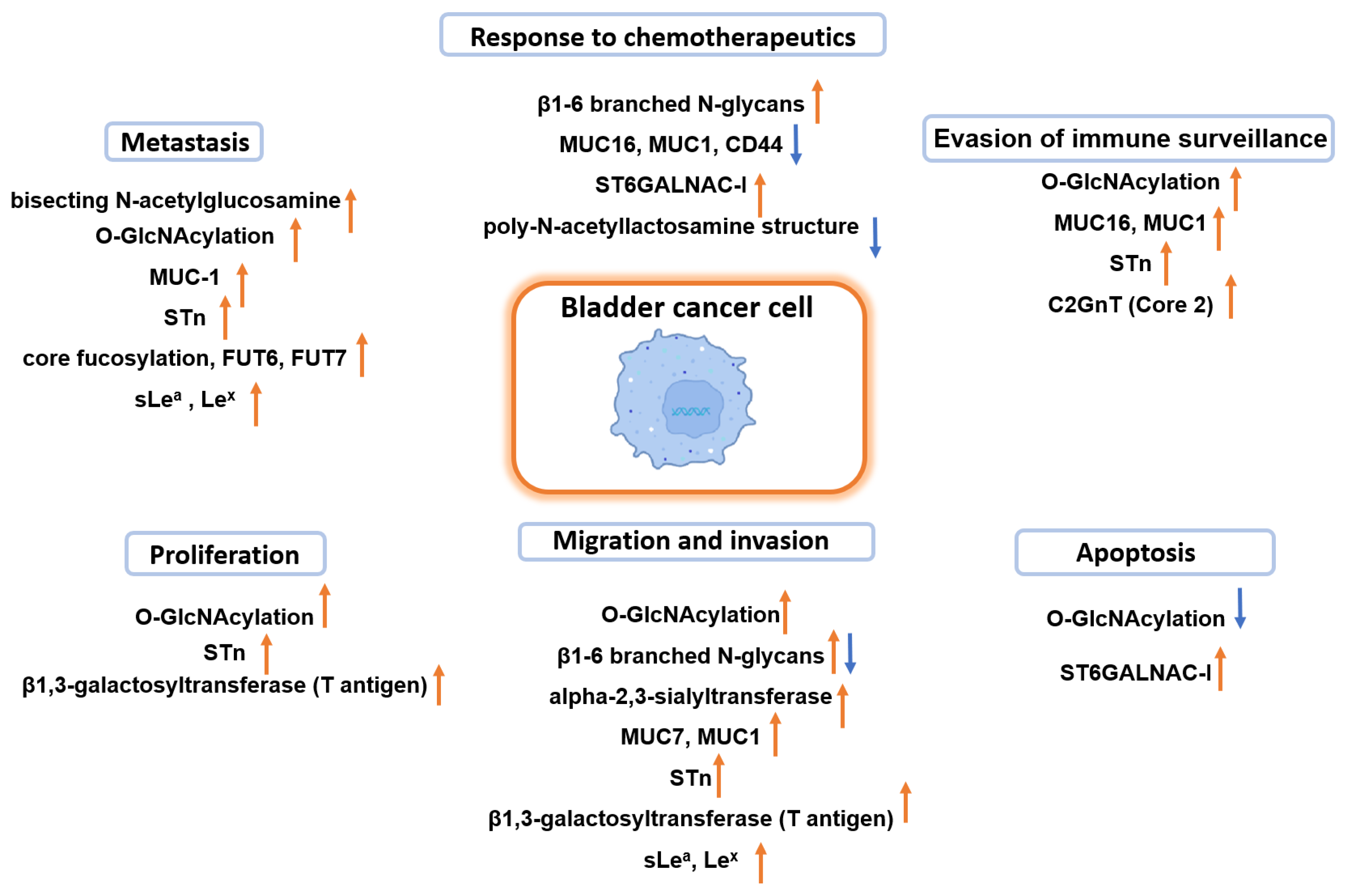Molecules 28 03436 g008