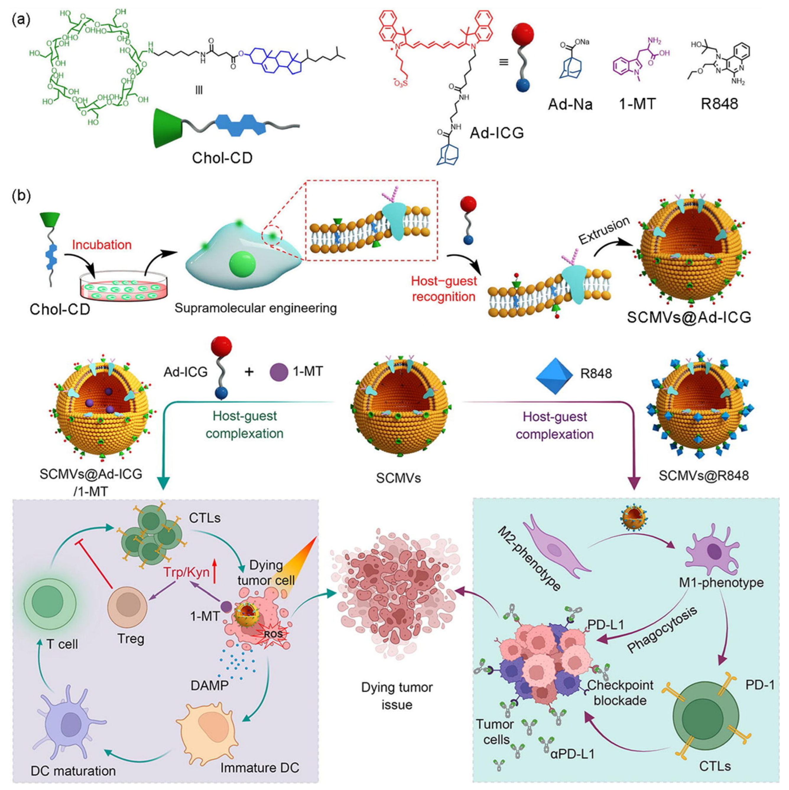 Molecules 28 03441 g004