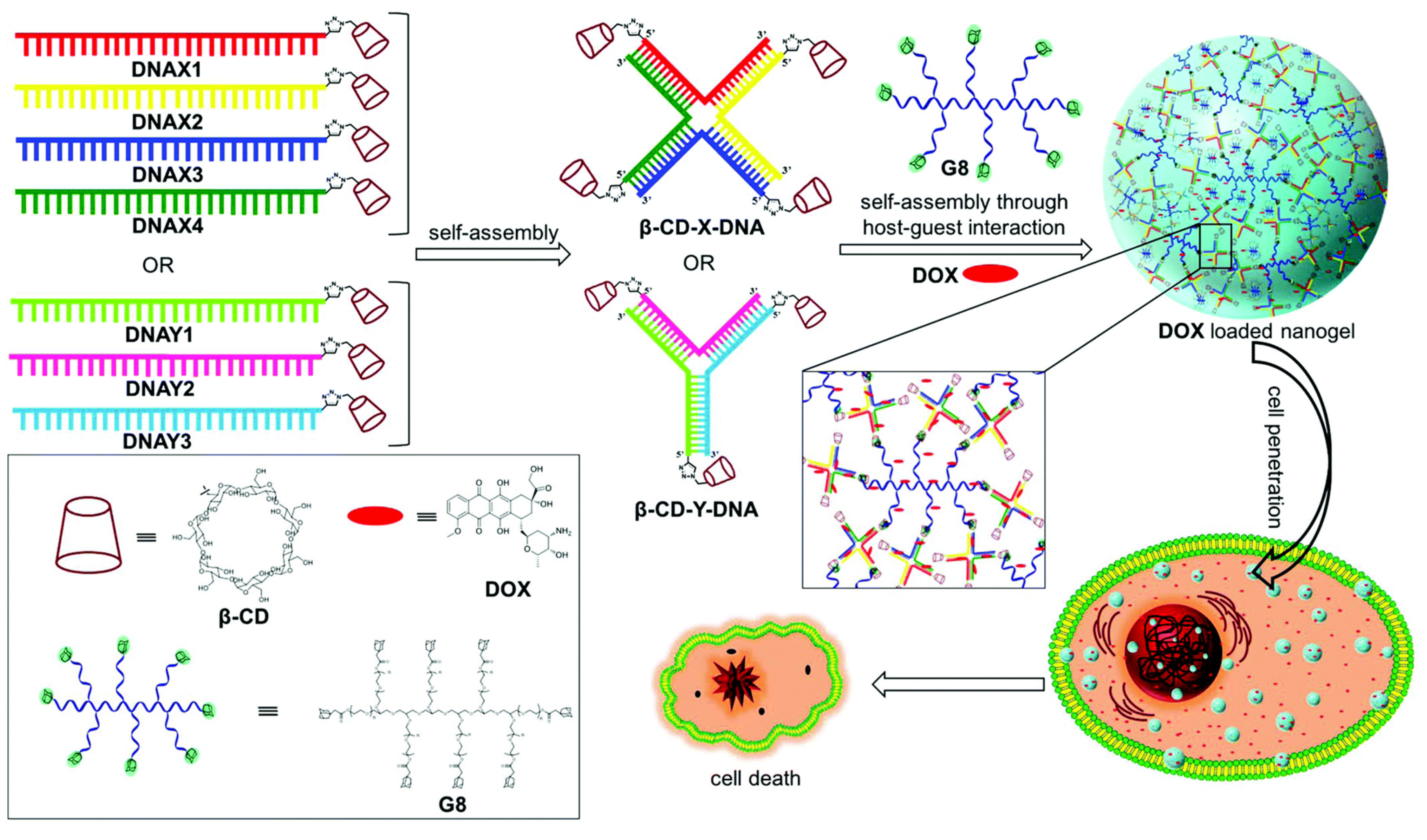 Molecules 28 03441 g006