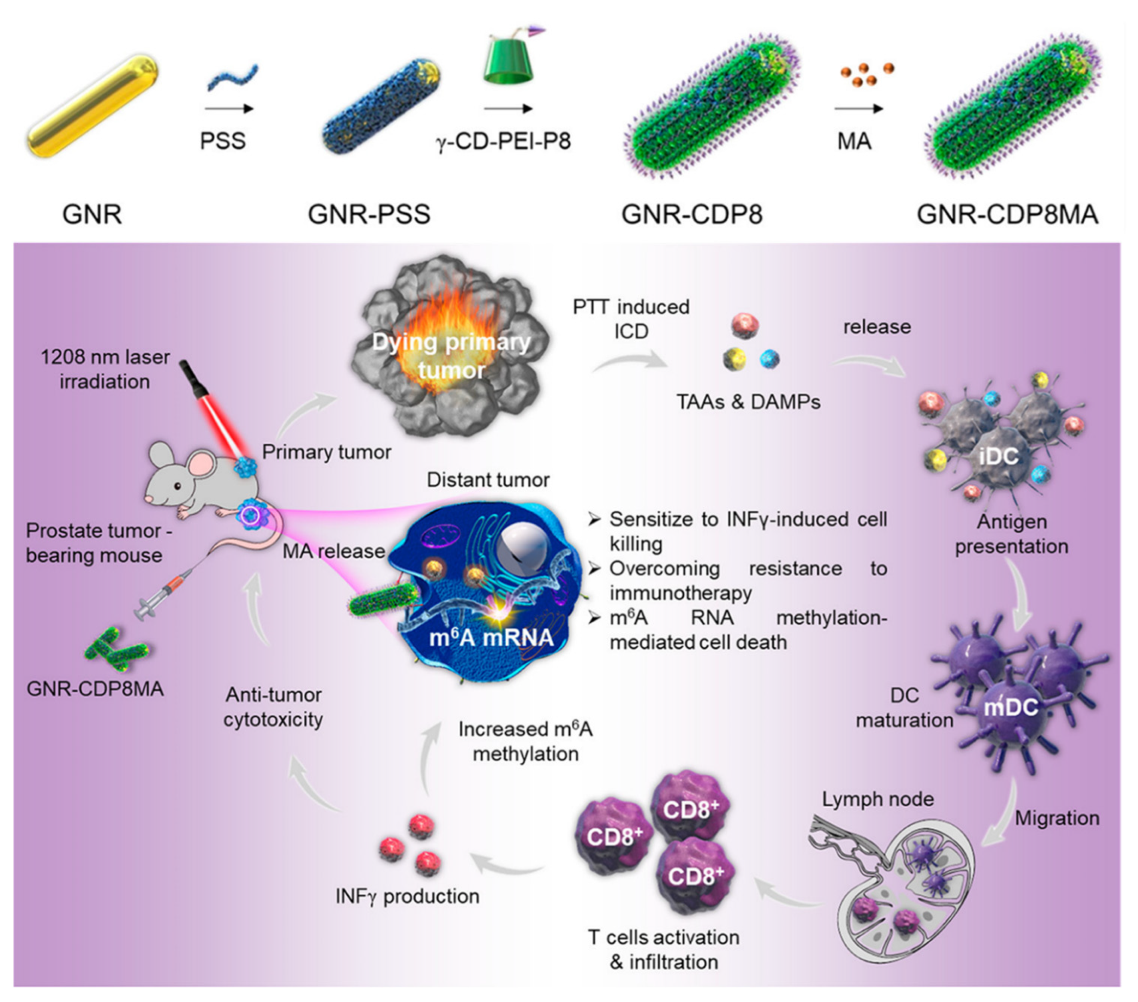 Molecules 28 03441 g007