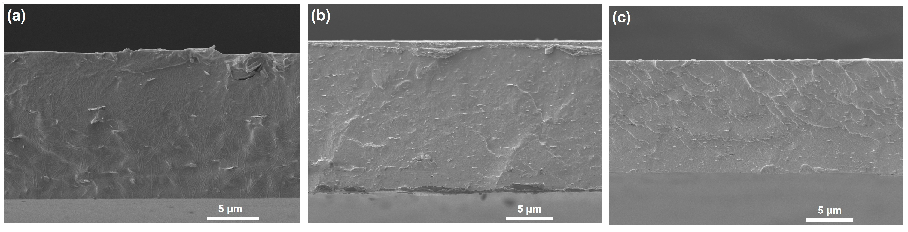 Molecules 28 03444 g010