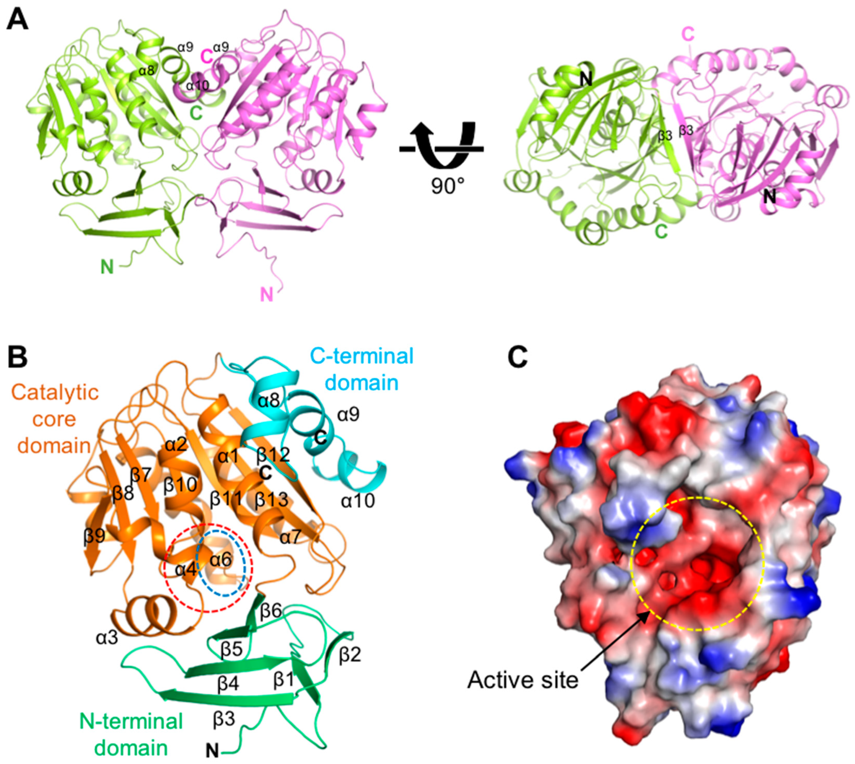 Molecules 28 03446 g001