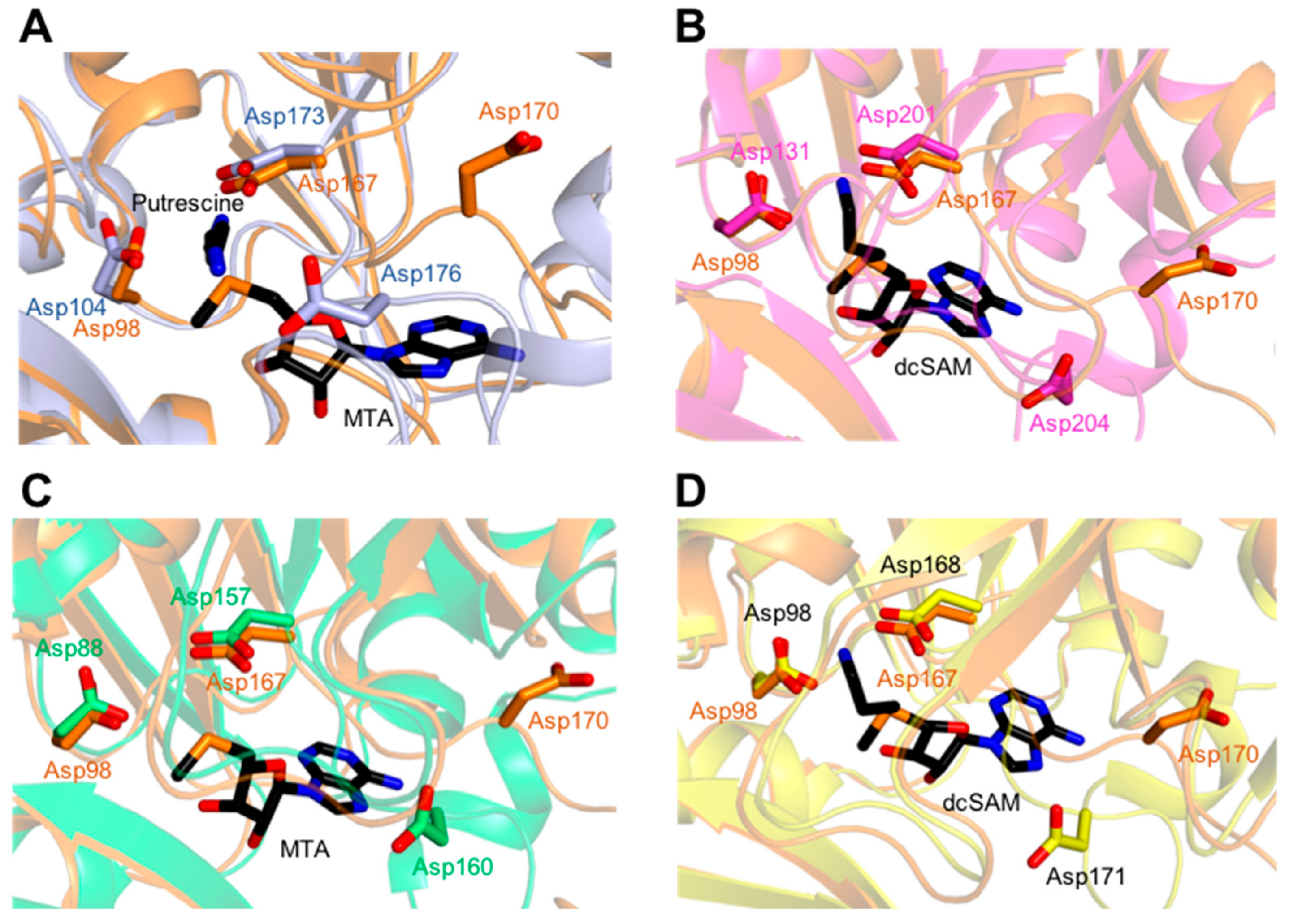 Molecules 28 03446 g003