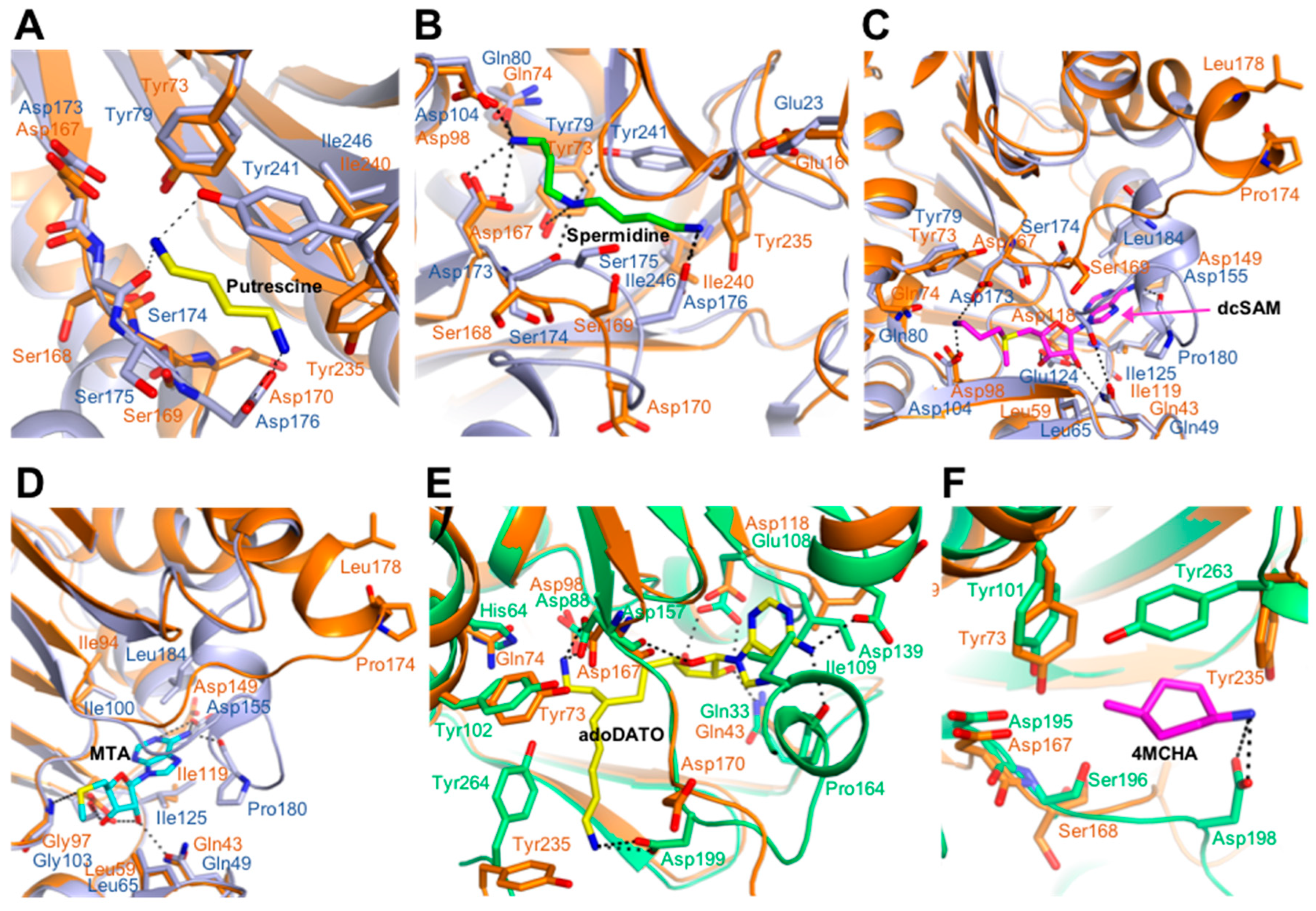 Molecules 28 03446 g004
