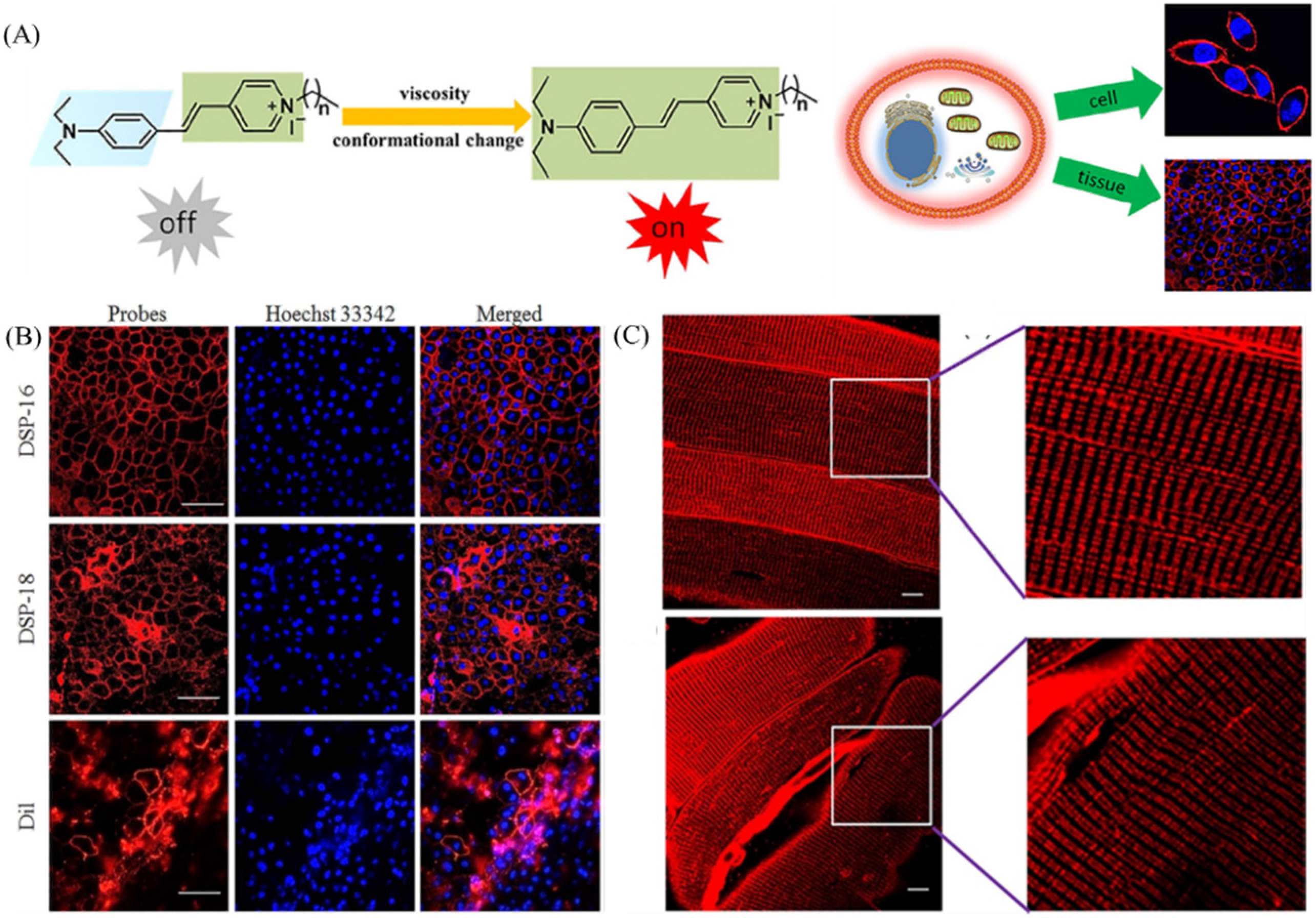 Molecules 28 03455 g011
