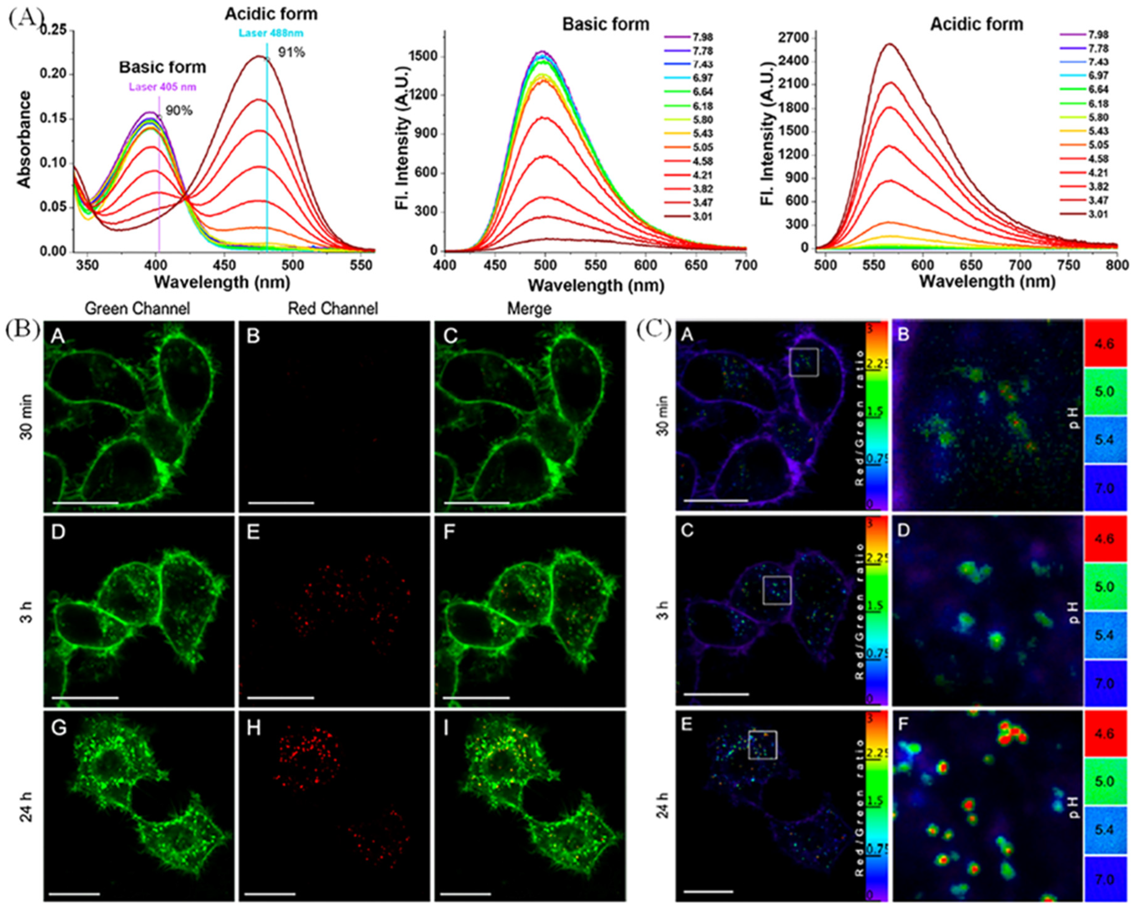 Molecules 28 03455 g016
