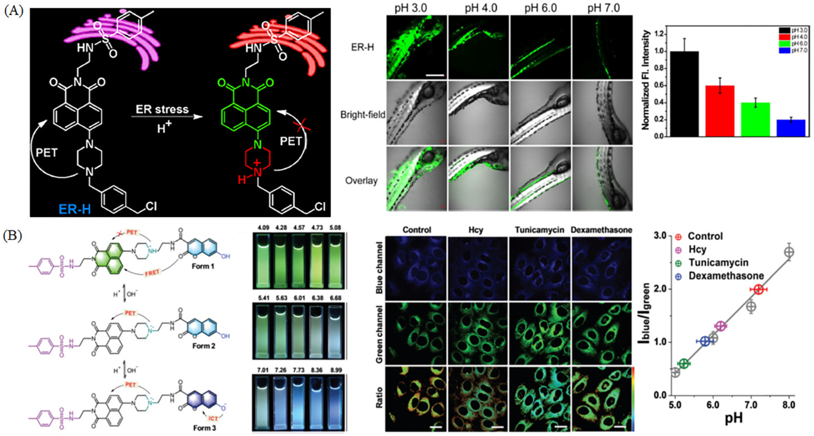 Molecules 28 03455 g017