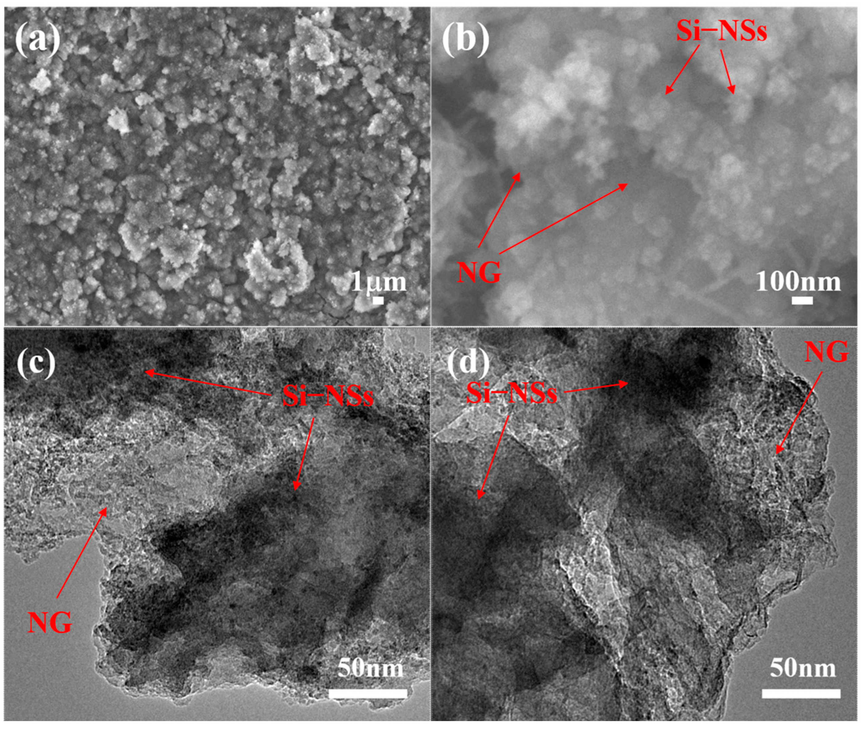 Molecules 28 03458 g008 Molecules 28 03458 g008
