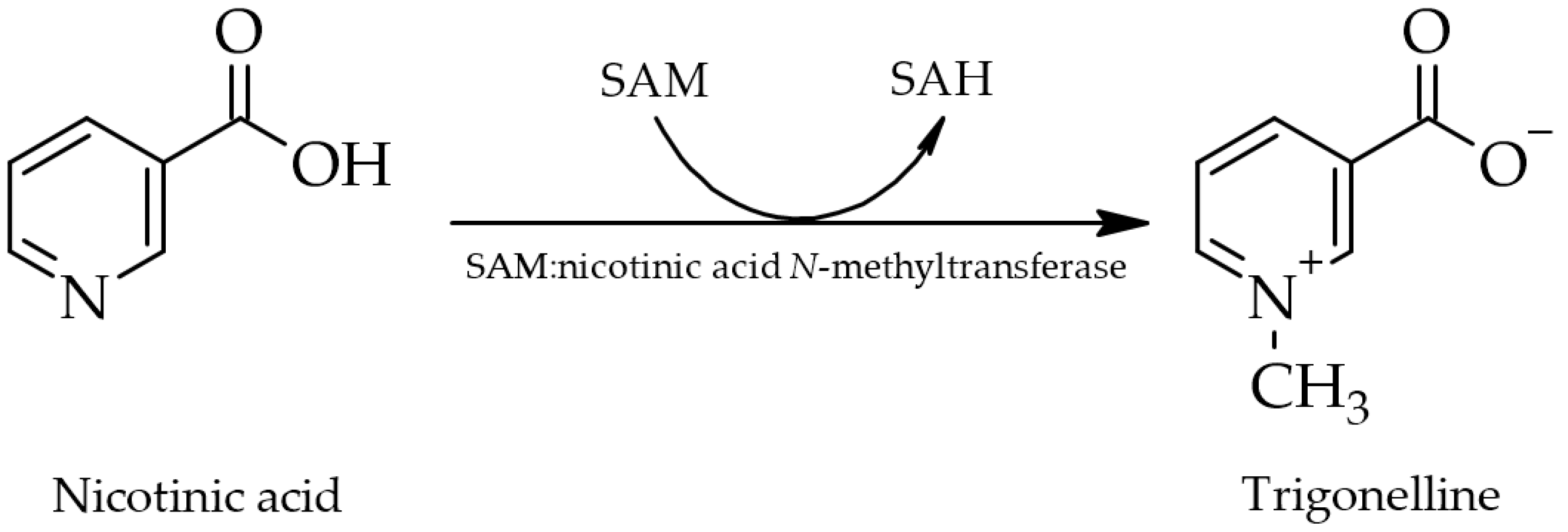 Molecules 28 03460 g001 Molecules 28 03460 g001