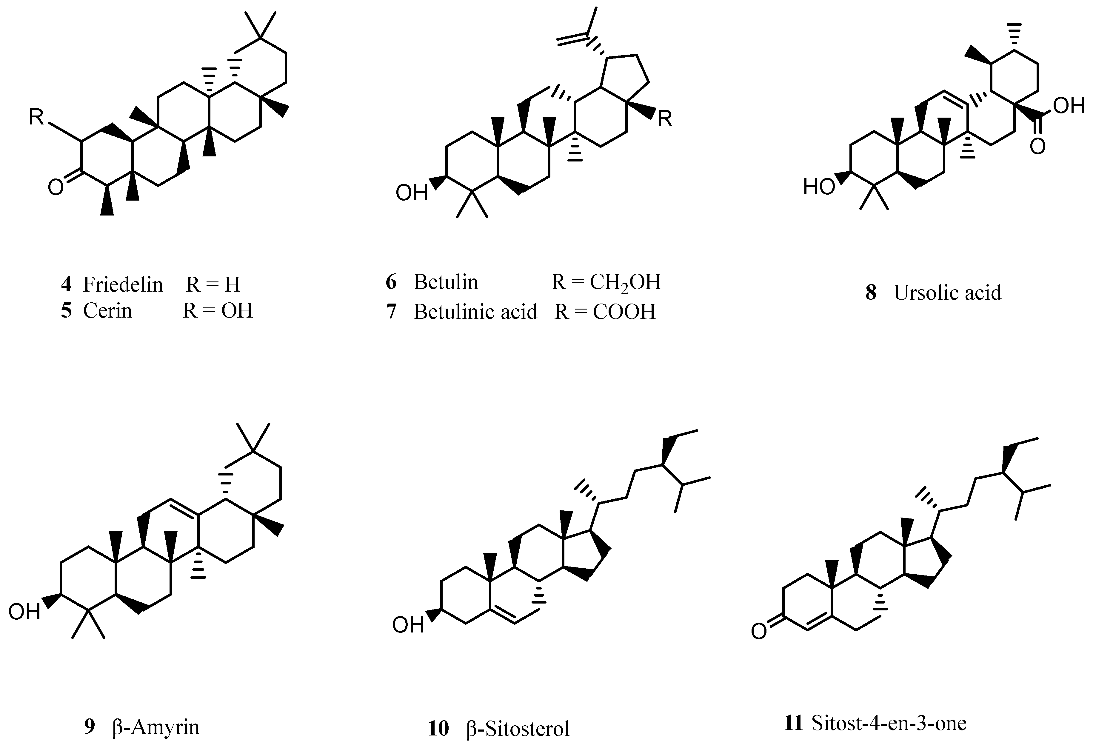 Molecules 28 03465 g003 Molecules 28 03465 g003