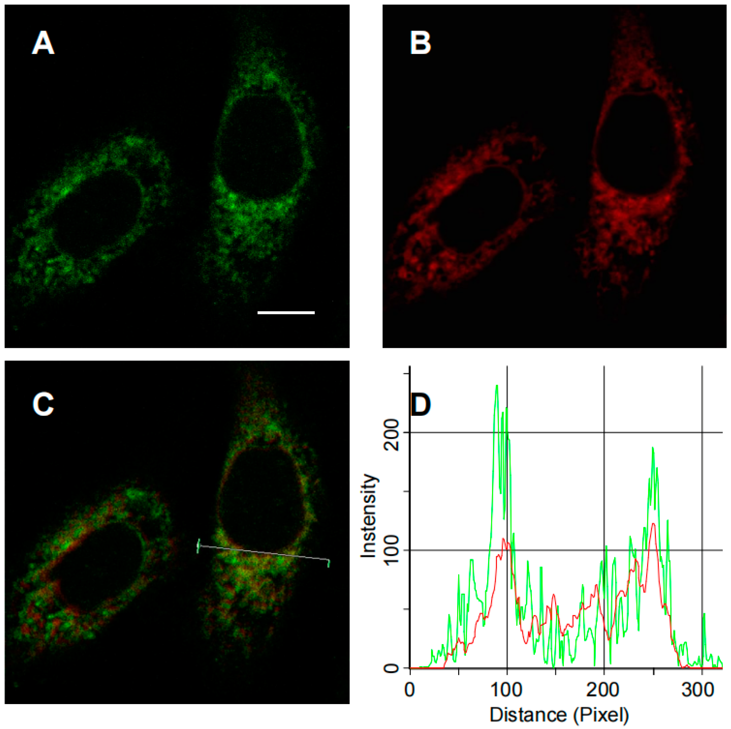 Molecules 28 03472 g003