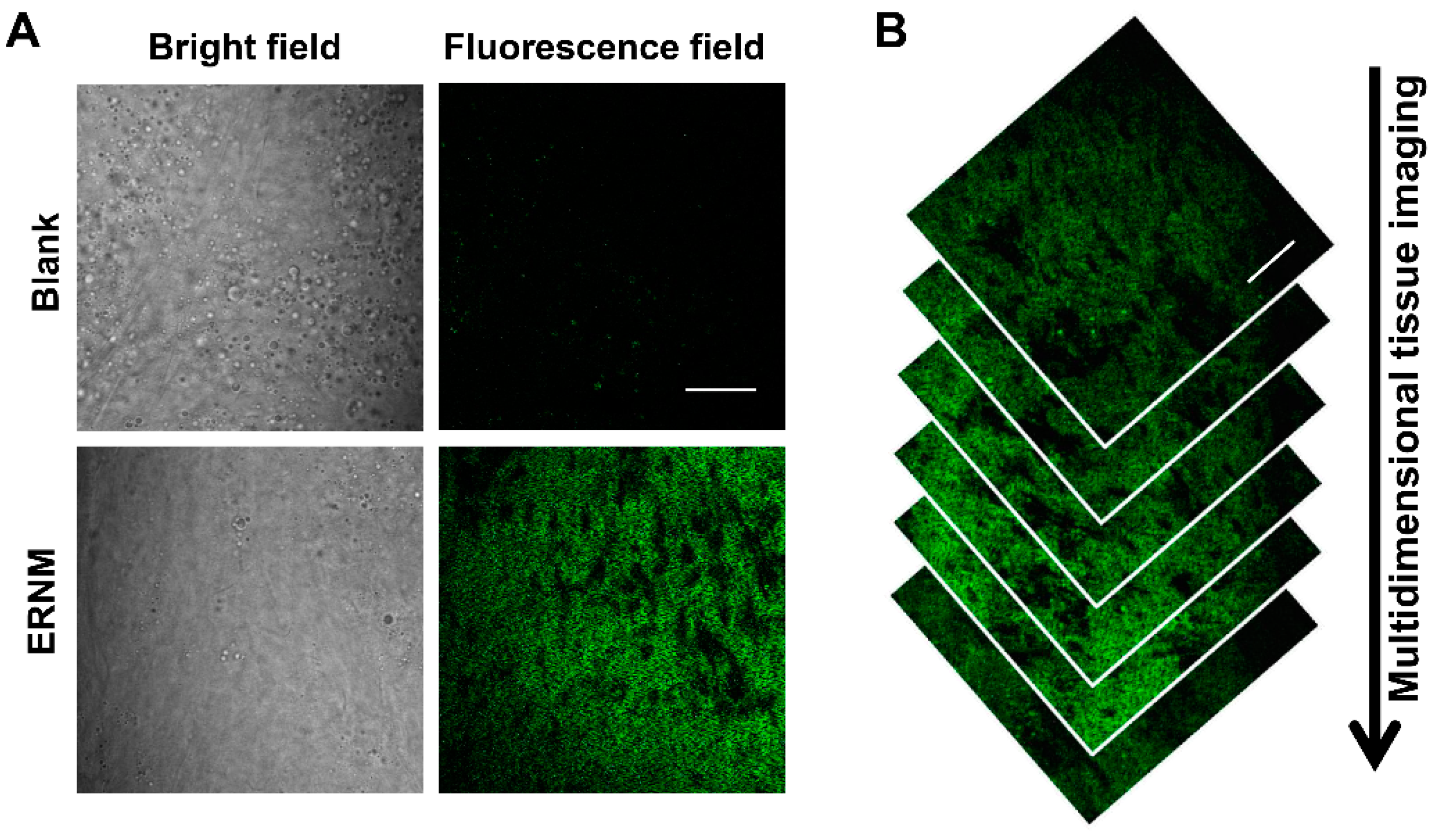 Molecules 28 03472 g004