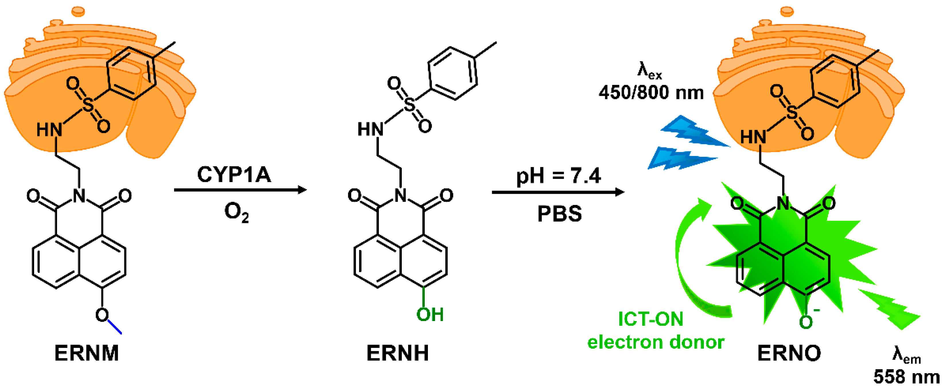 Molecules 28 03472 sch001
