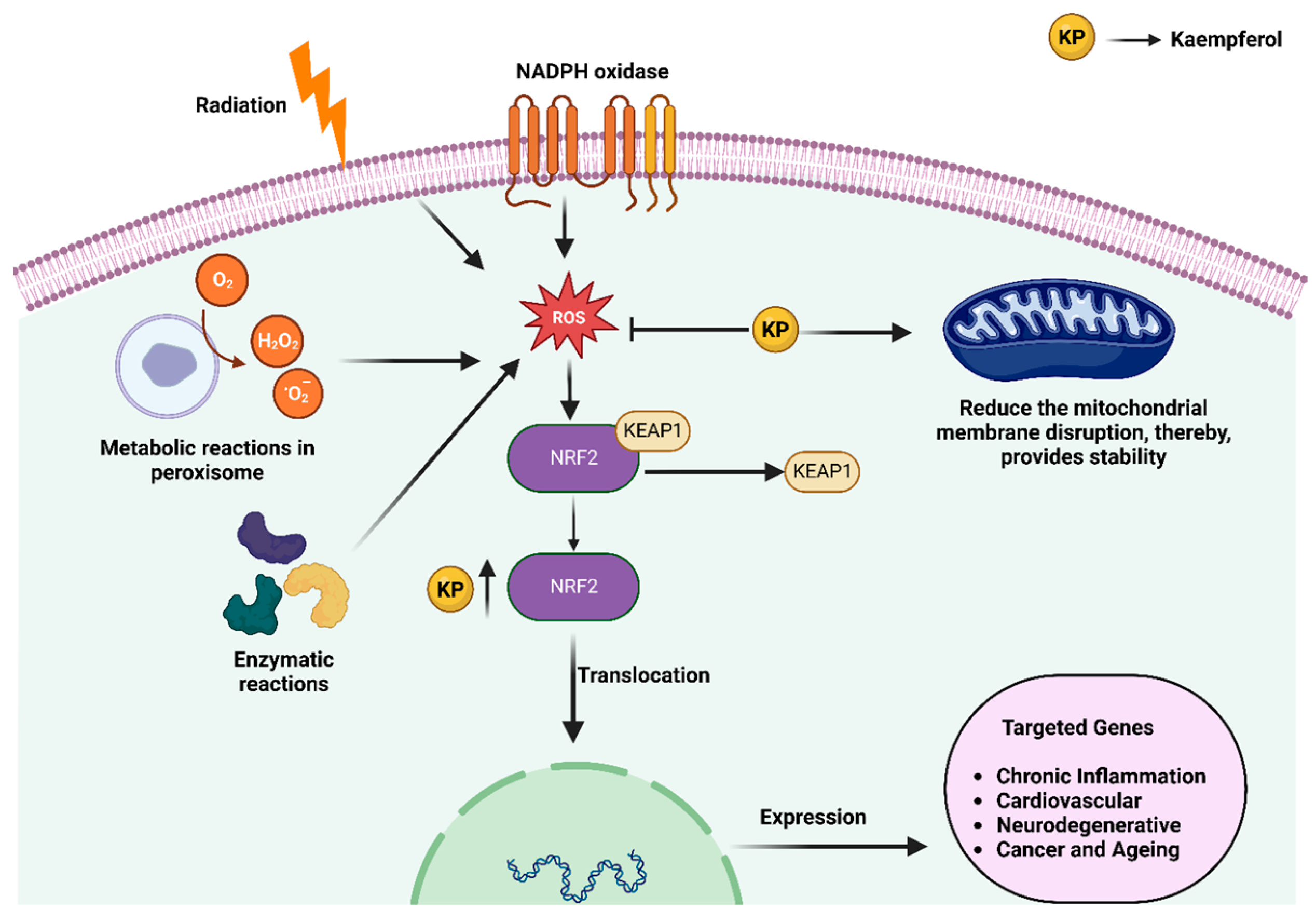 Molecules 28 03475 g002