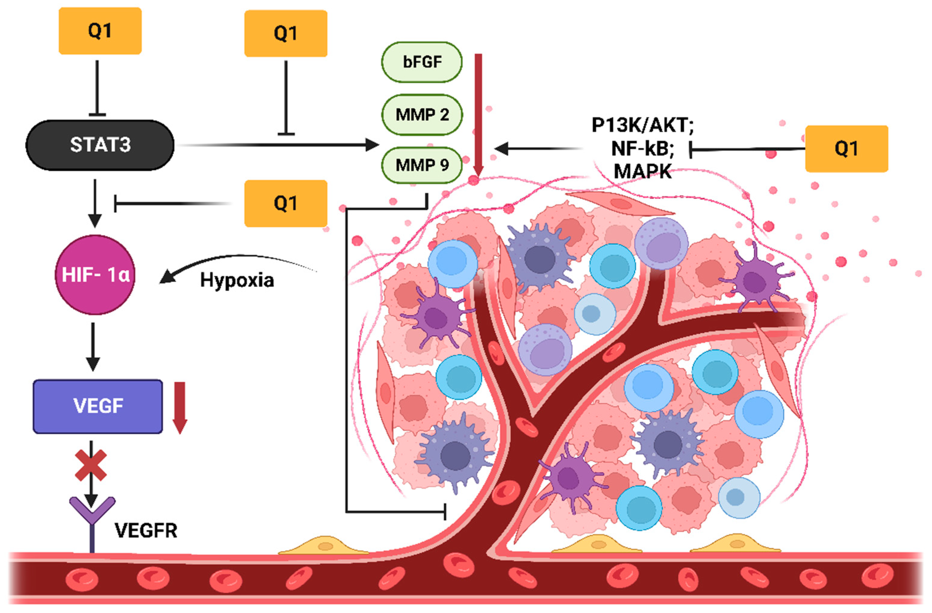 Molecules 28 03475 g004