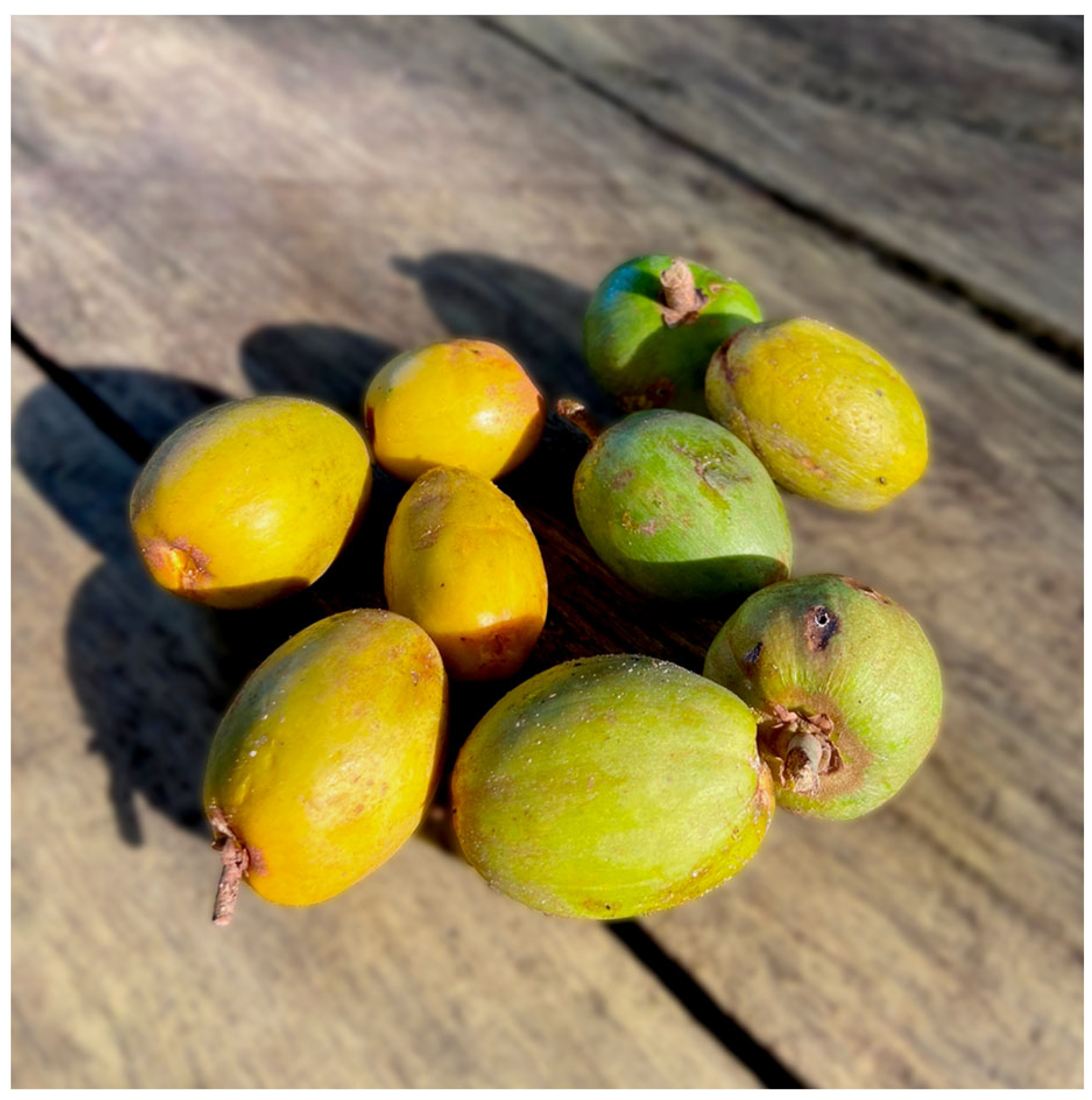 Molecules 28 03477 g001 Molecules 28 03477 g001