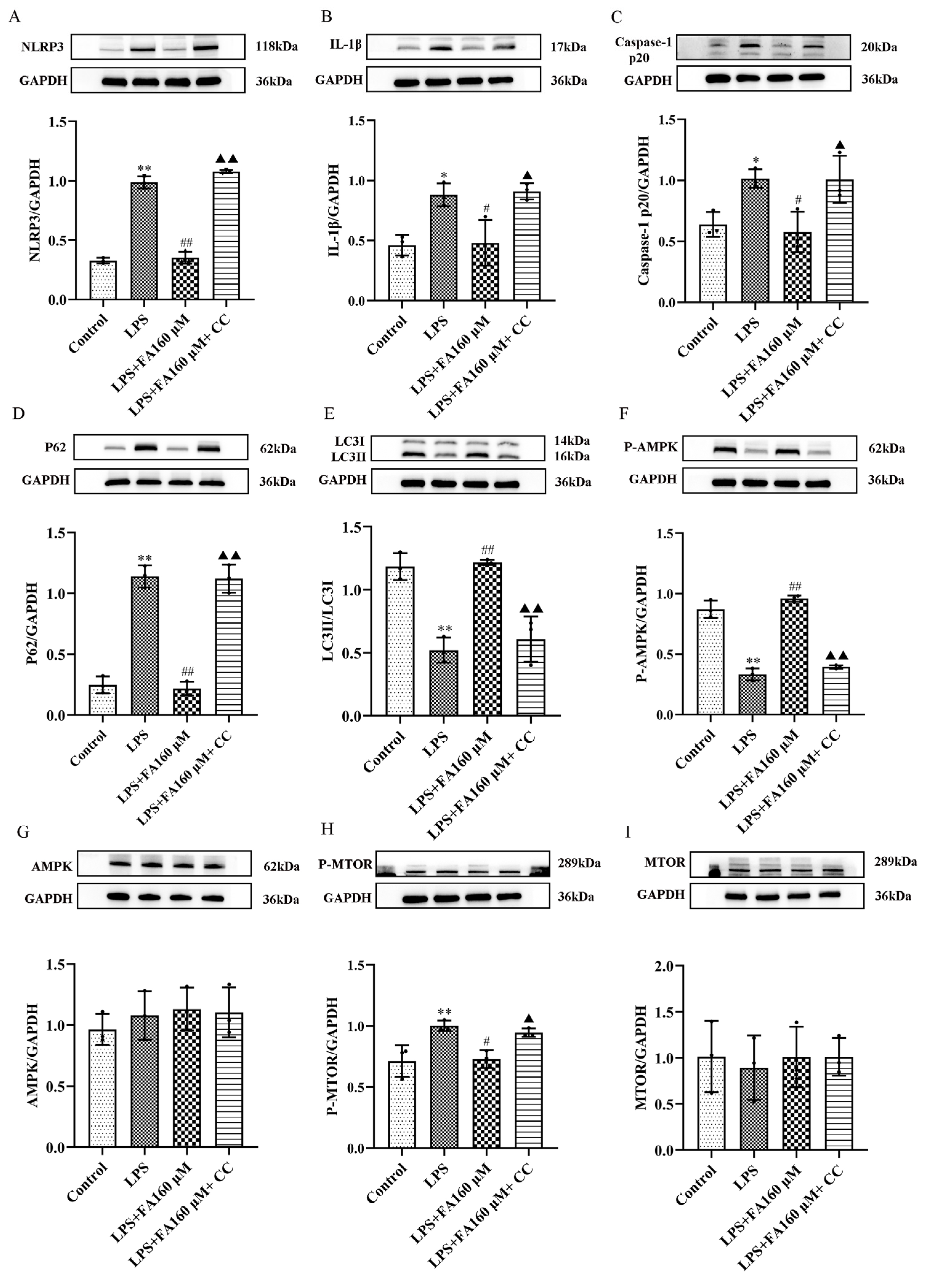 Molecules 28 03482 g007