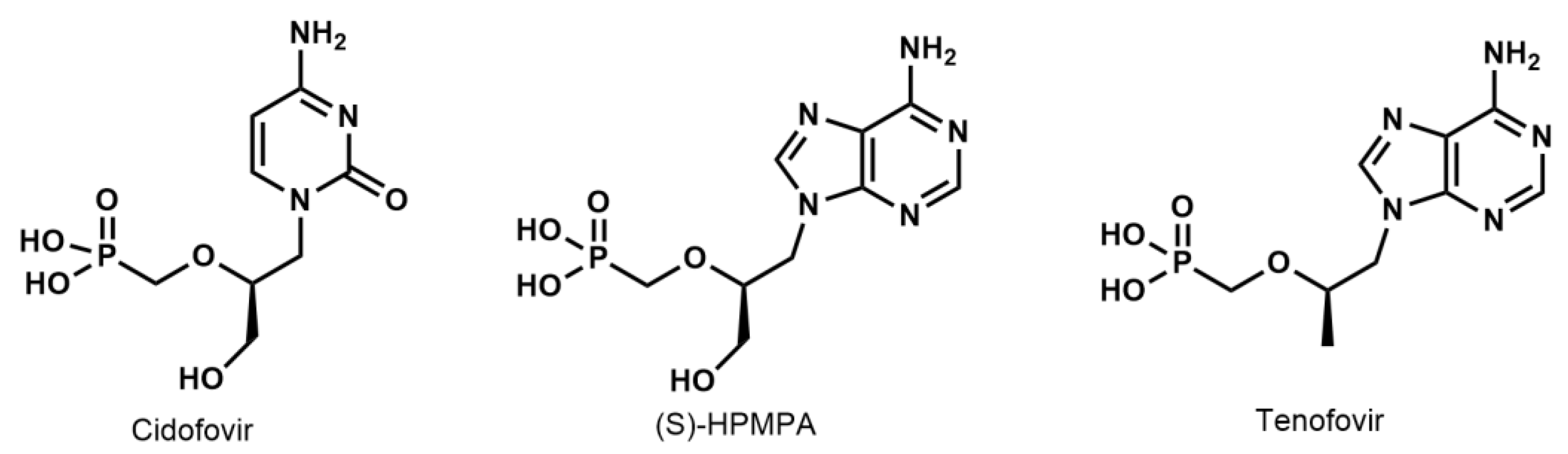 Molecules 28 03497 g001