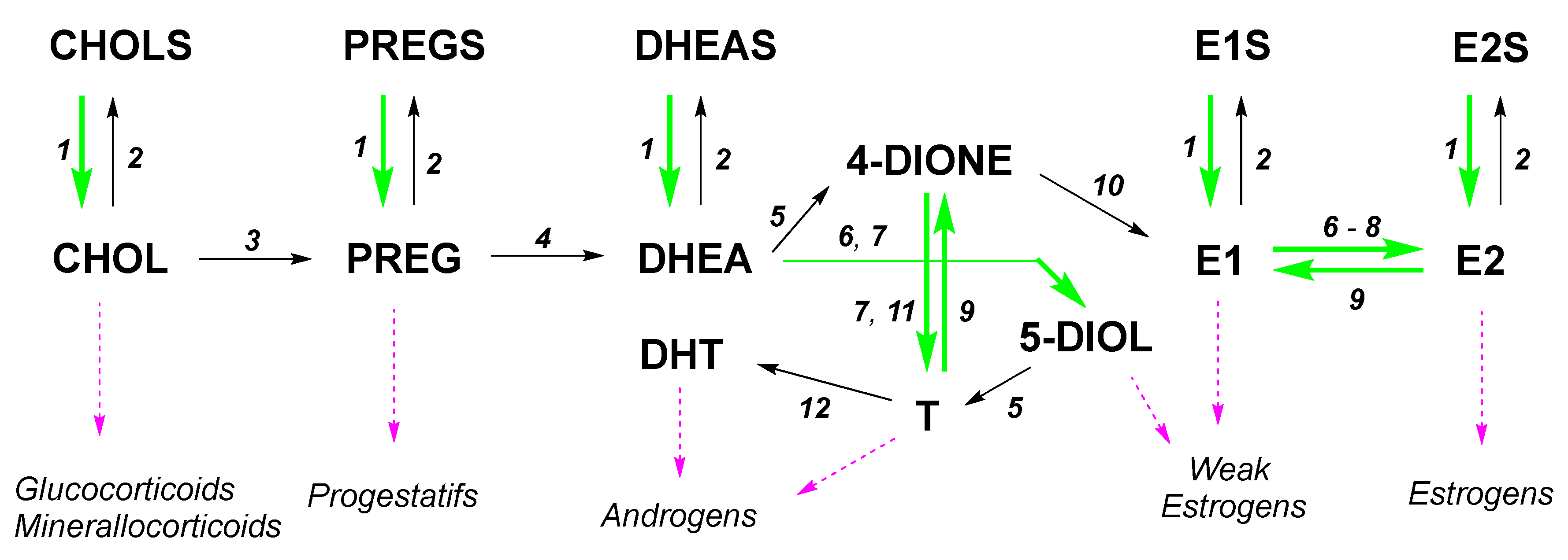 Molecules 28 03499 g001