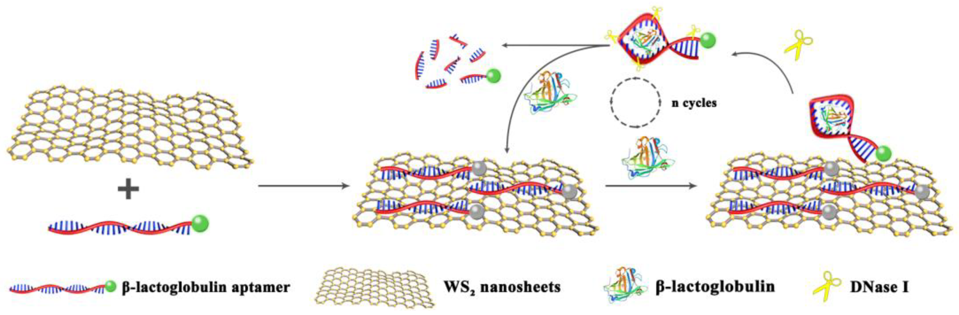 Molecules 28 03502 g001