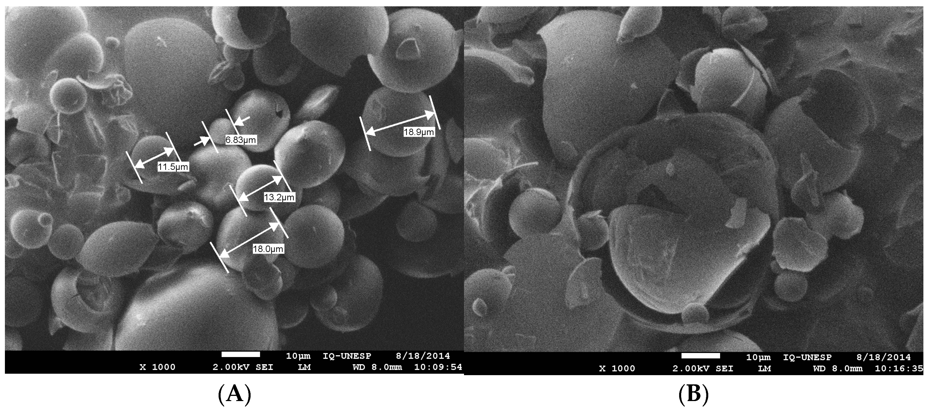 Molecules 28 03510 g002