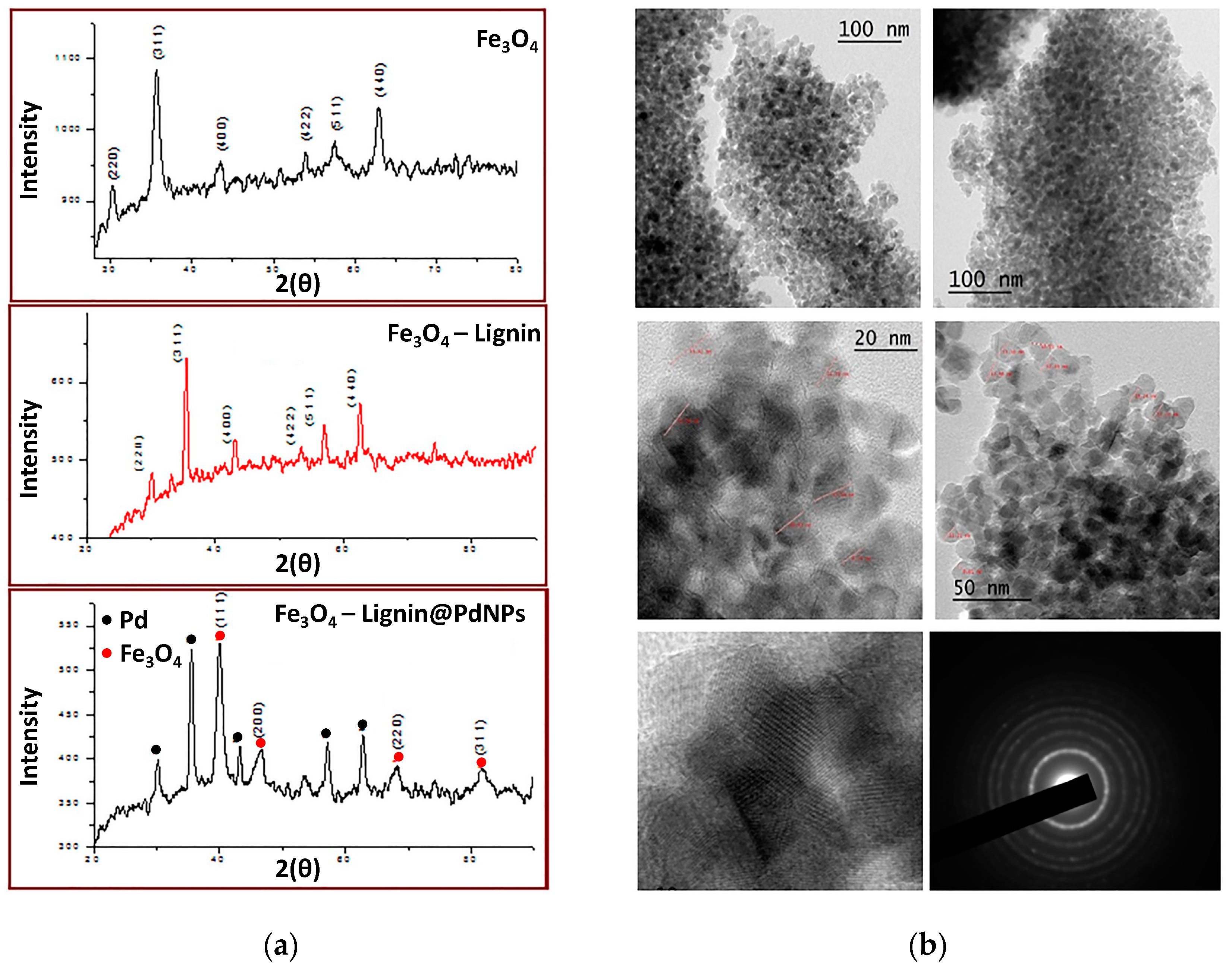 Molecules 28 03513 g007 Molecules 28 03513 g007