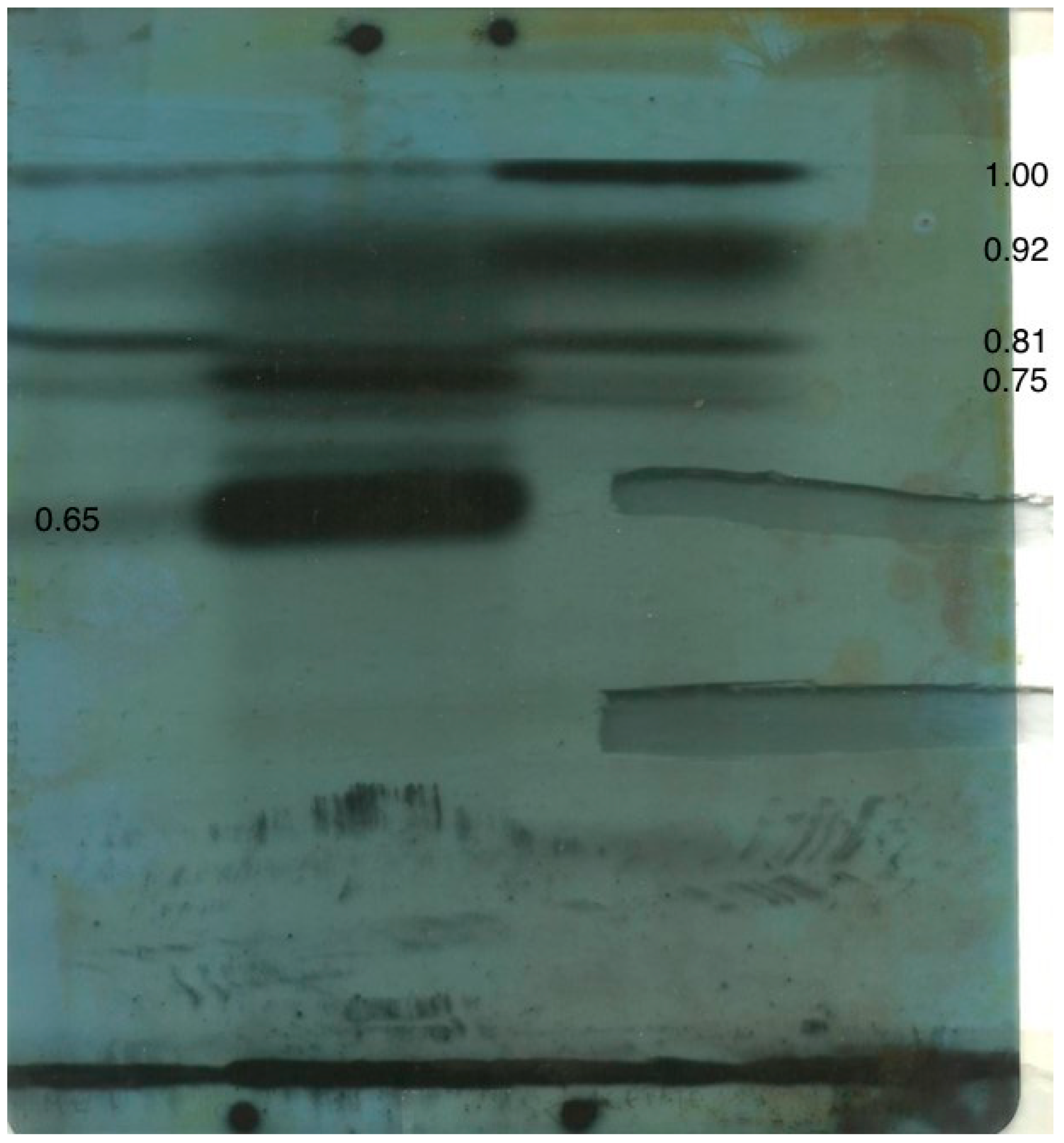 Molecules 28 03518 g004 Molecules 28 03518 g004