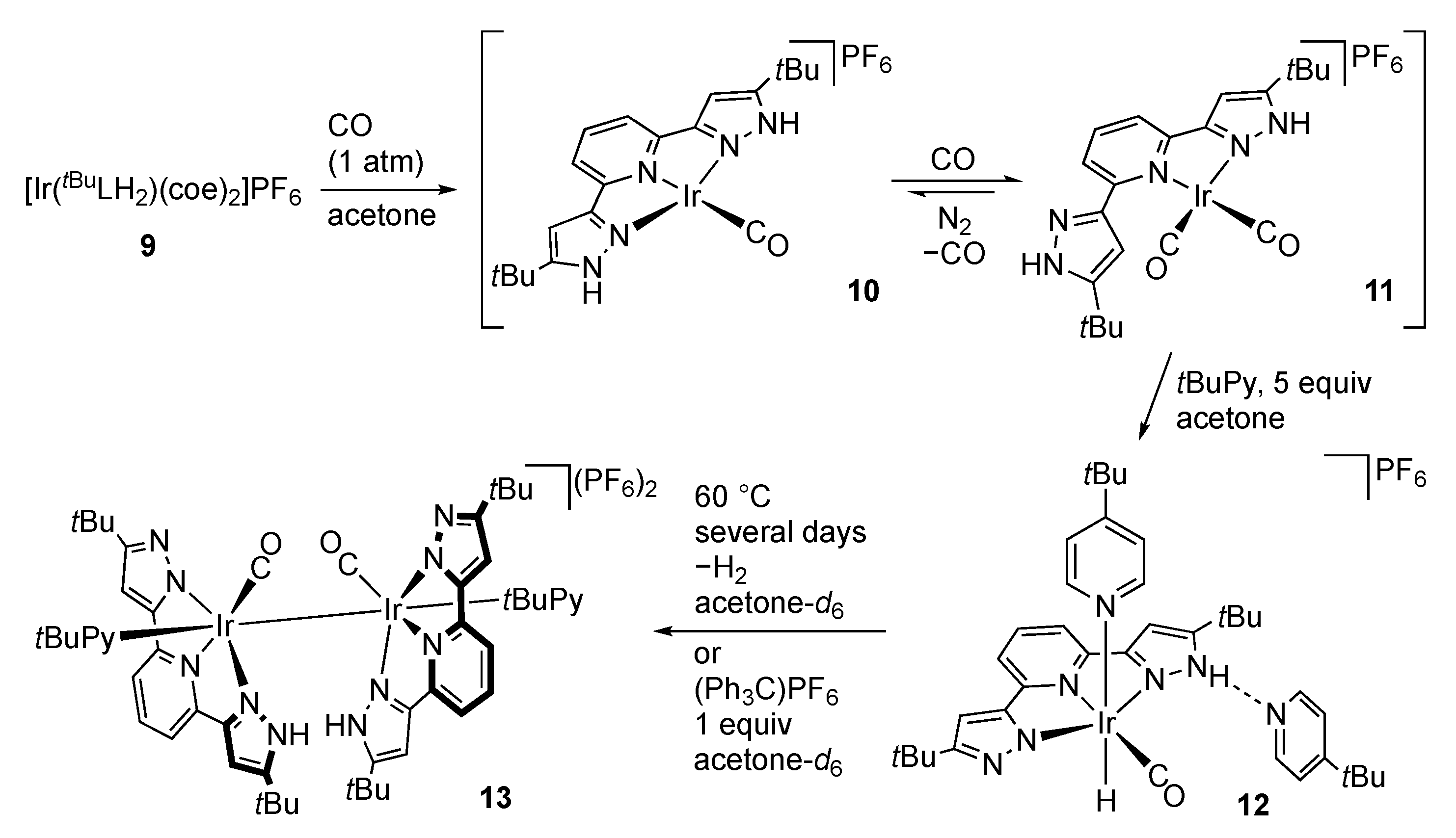 Molecules 28 03529 sch005