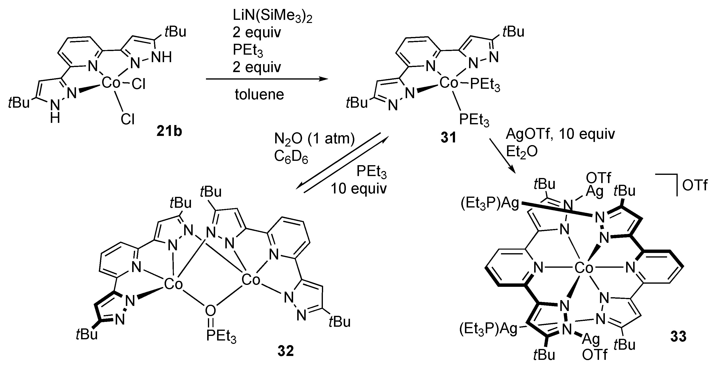 Molecules 28 03529 sch010
