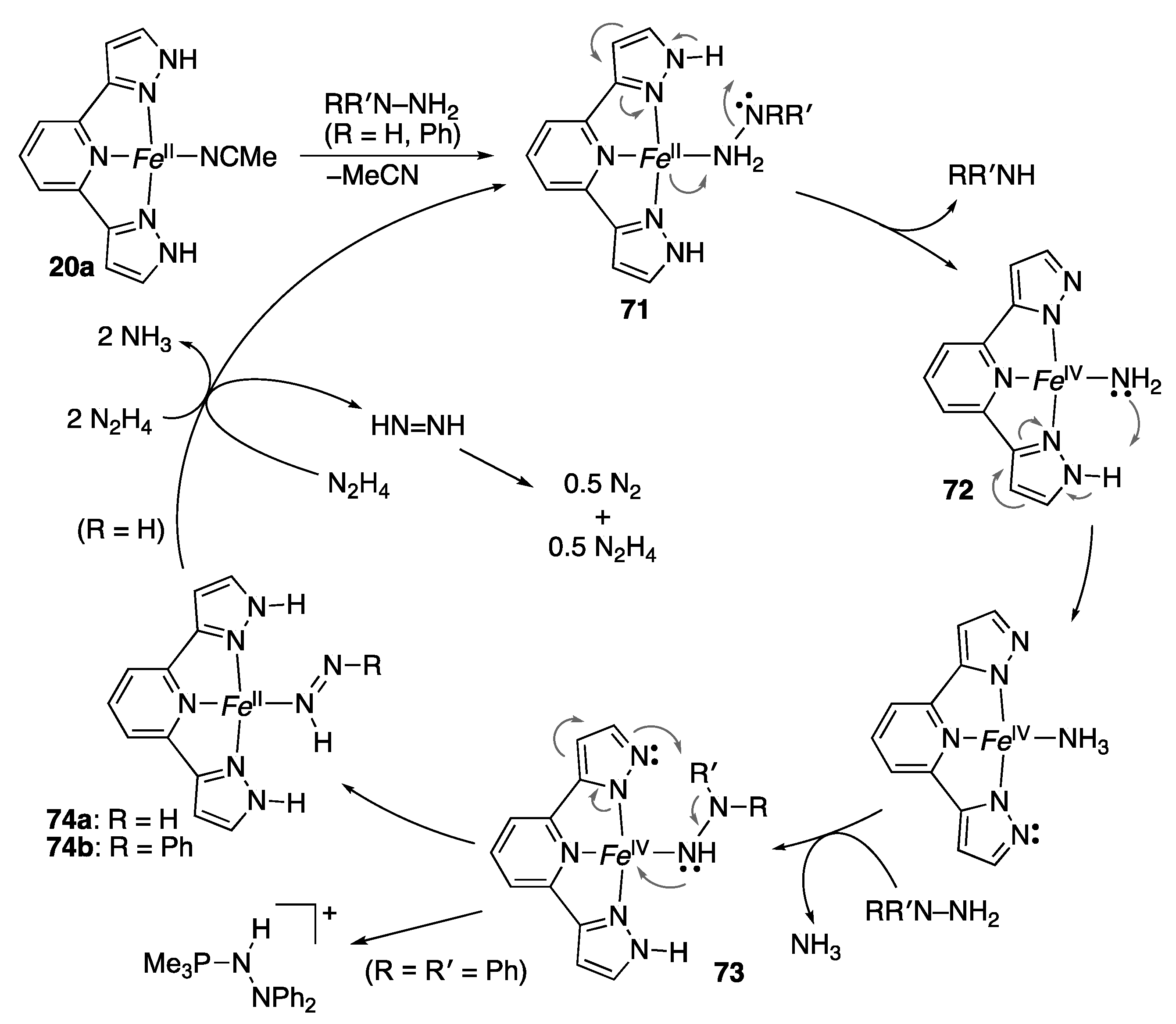 Molecules 28 03529 sch021