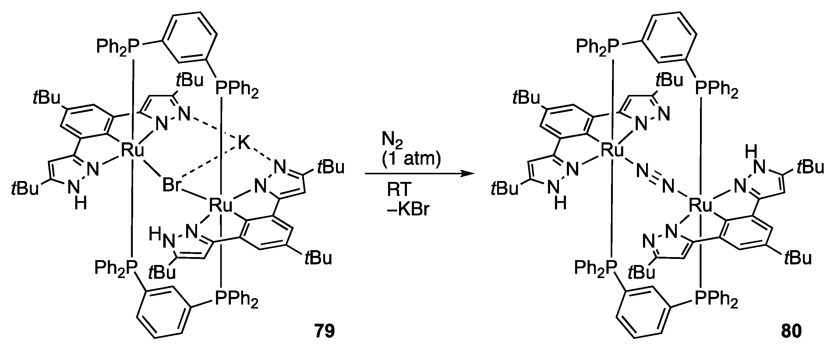 Molecules 28 03529 sch024