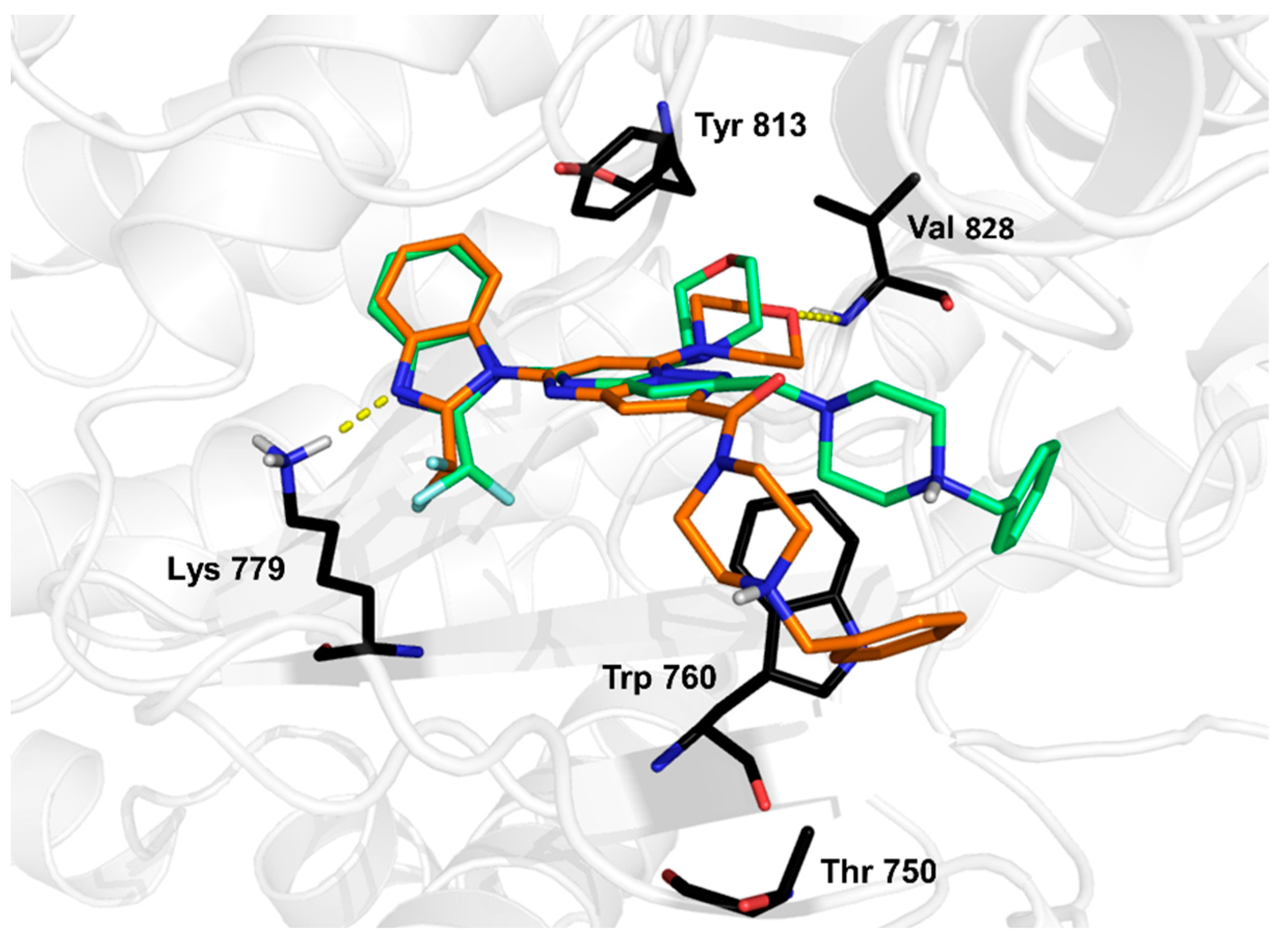Molecules 28 03531 g003
