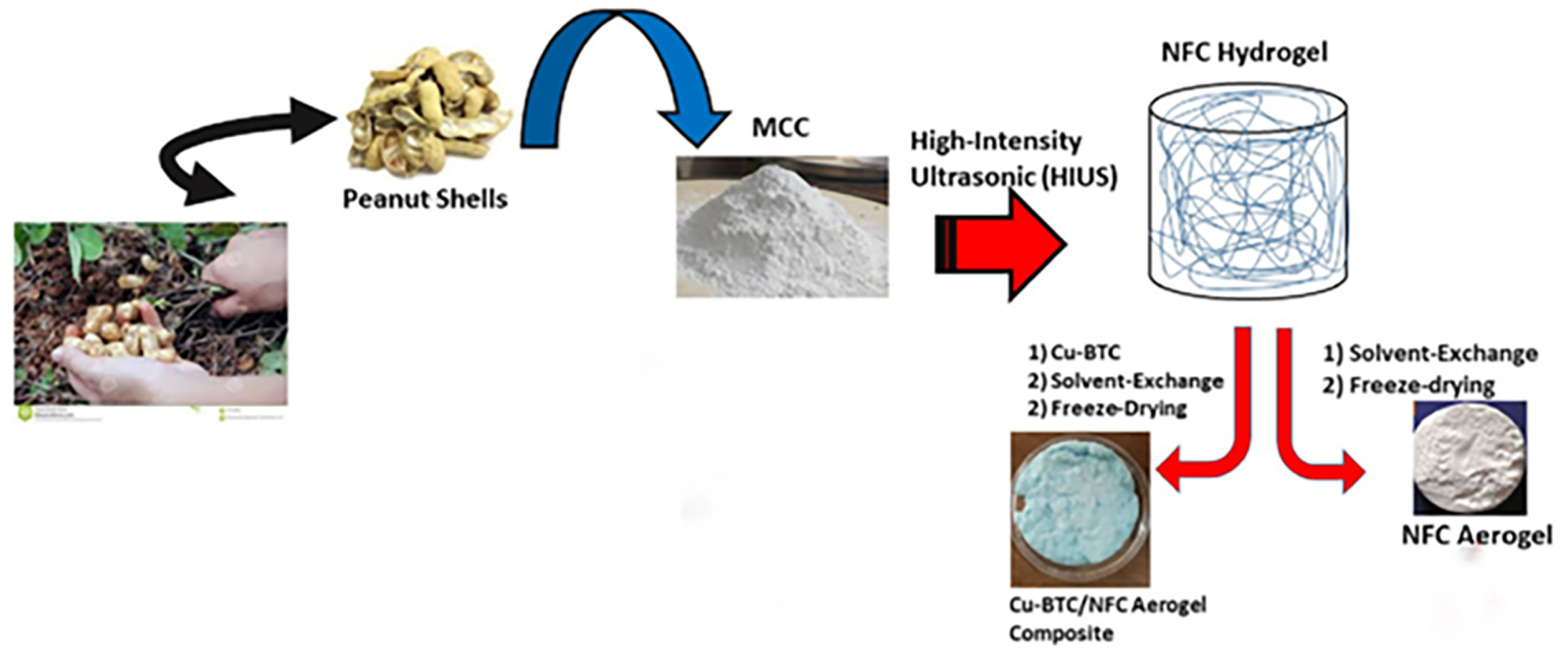 Molecules 28 03541 g001 Molecules 28 03541 g001