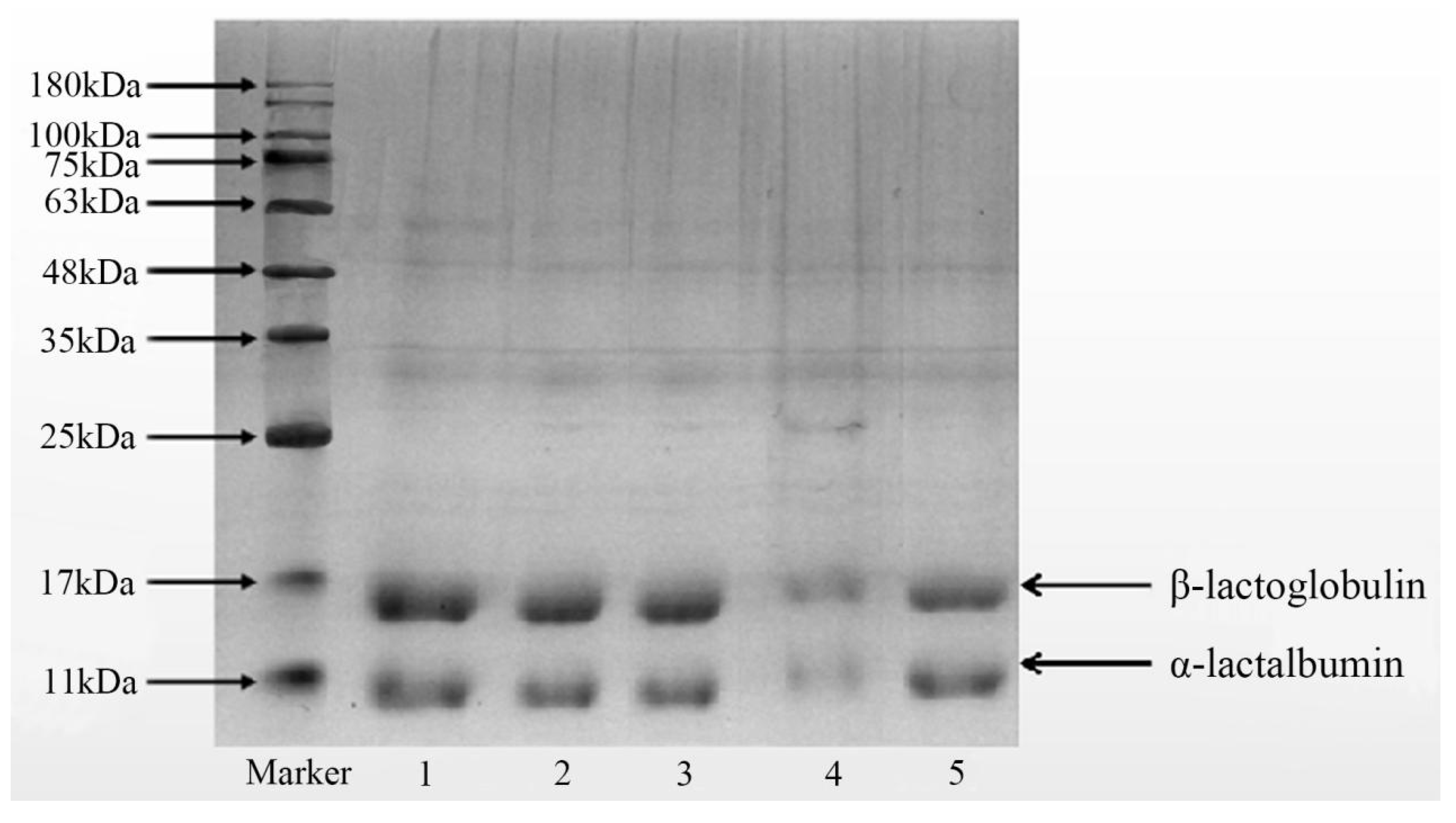 Molecules 28 03543 g0a3