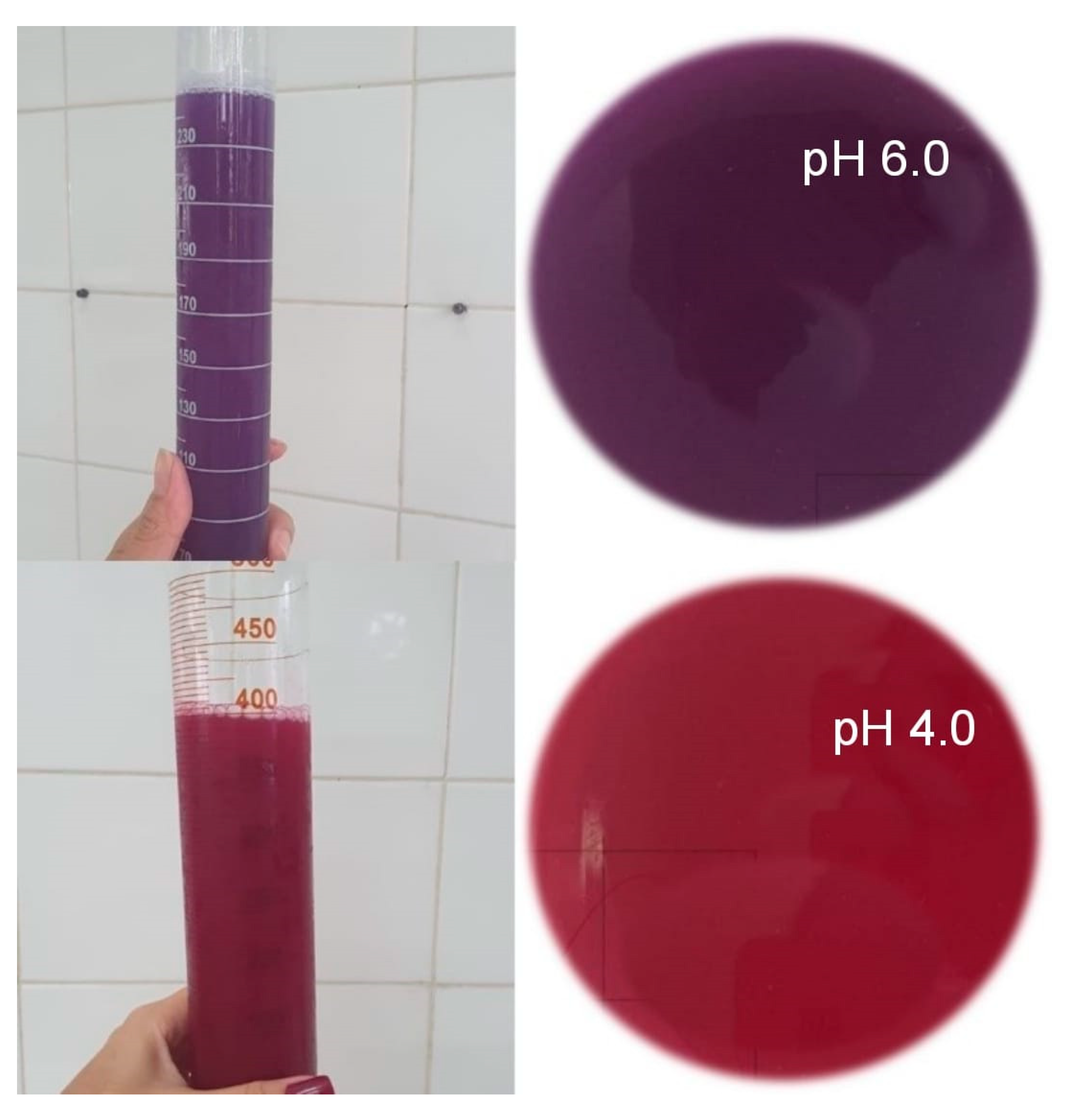 Molecules 28 03549 g001